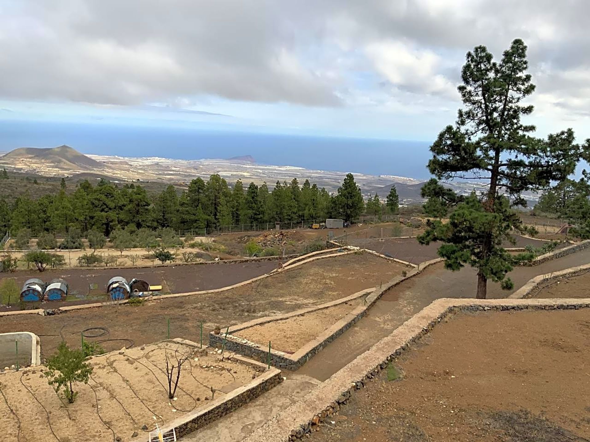 房子 在 新阿里科, 加那利群島 10726038