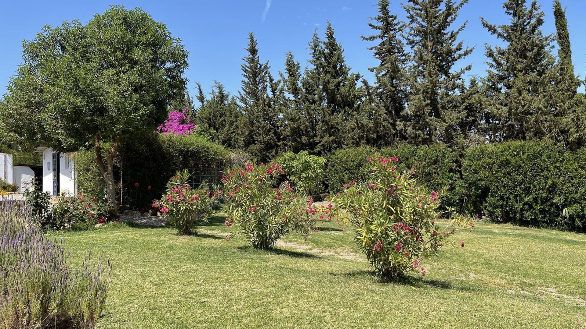 Talo sisään Alhaurin el Grande, Andalusia 10726364