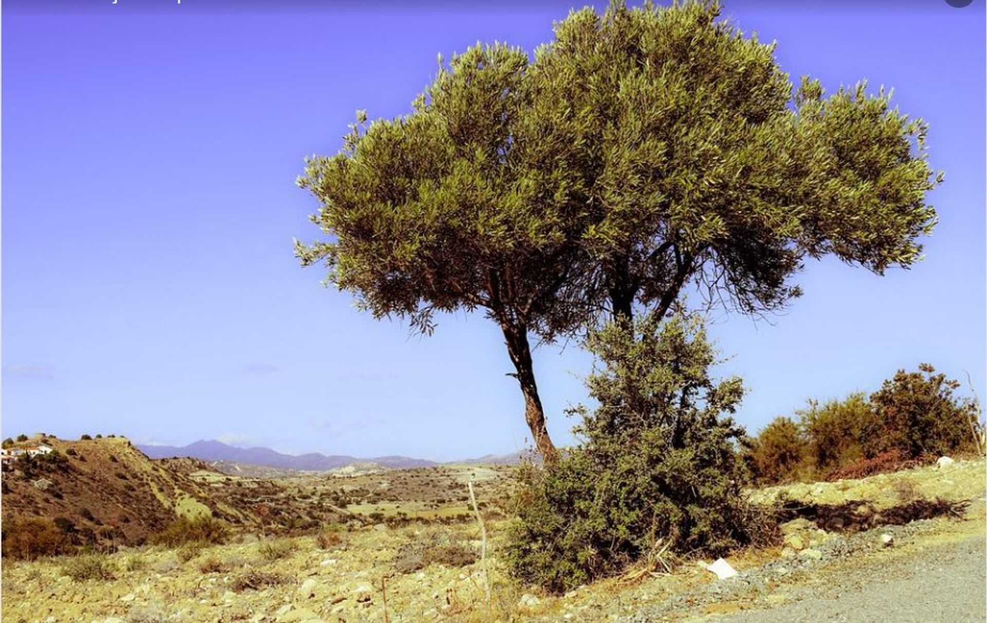 ארץ ב בנימלונט, ולנסיה 10726538