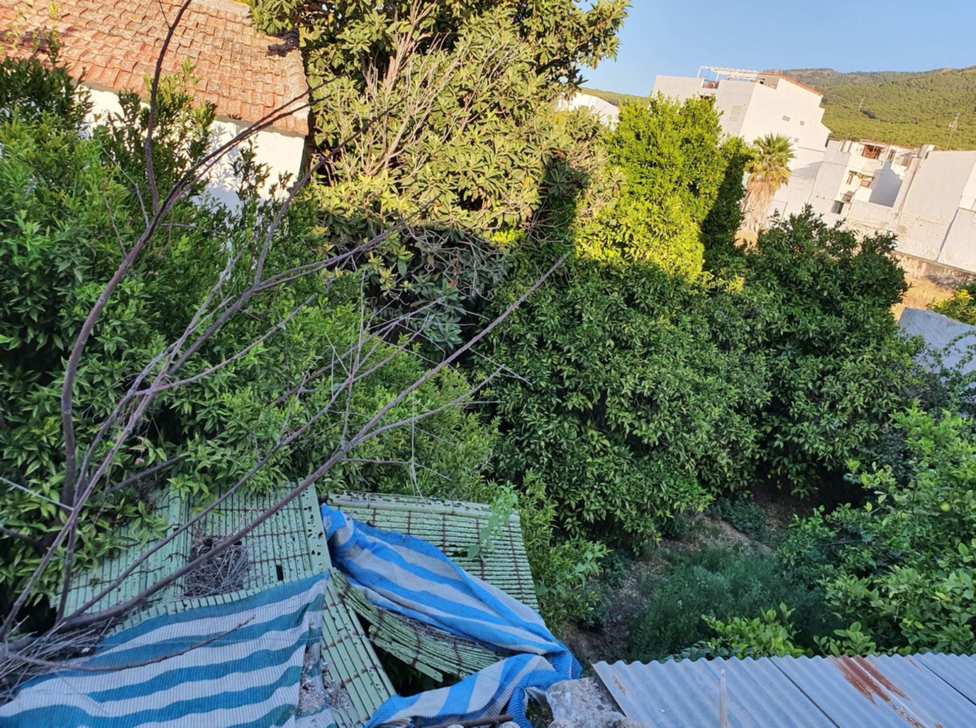 Rumah di Alhaurín el Grande, Andalucía 10726668