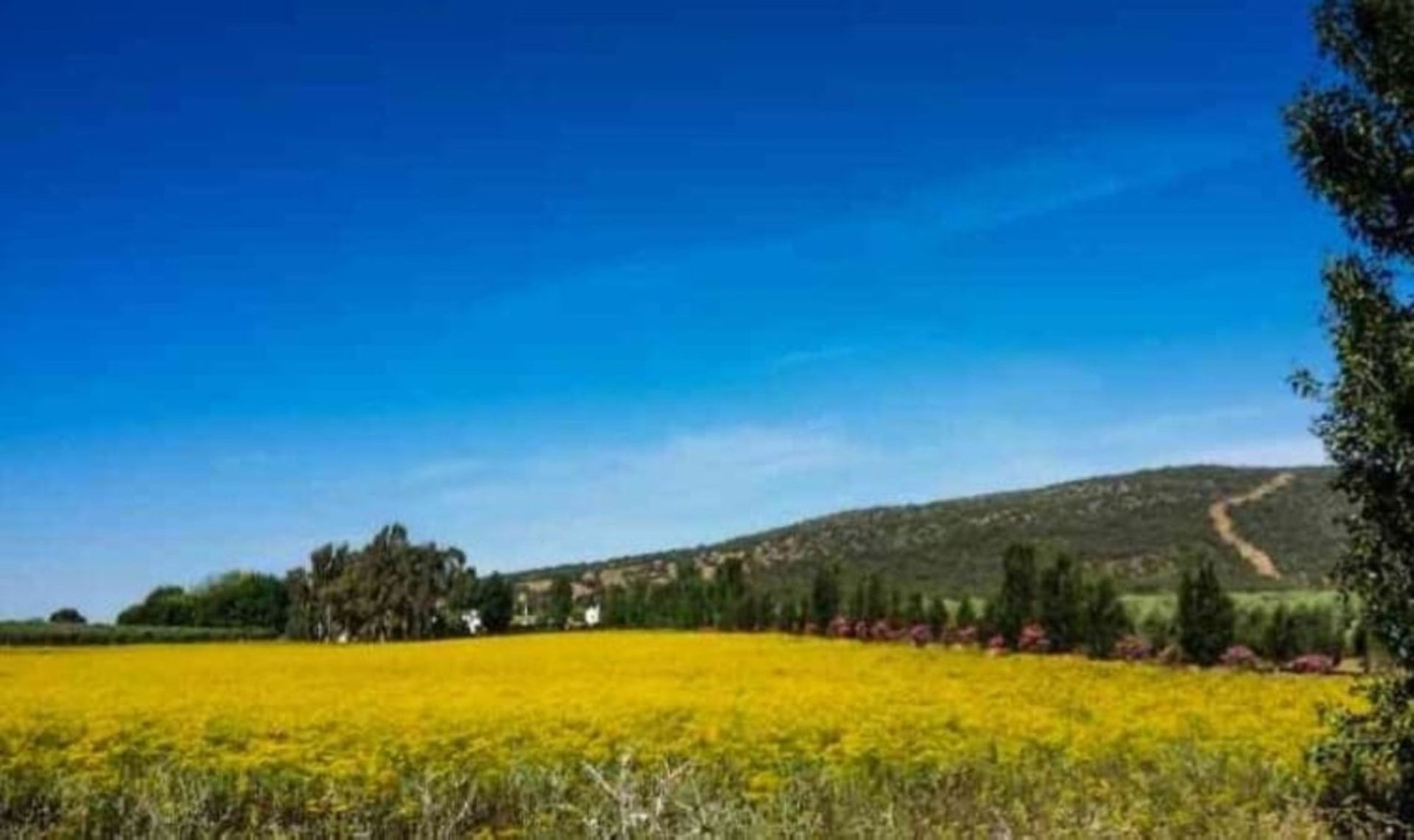 Teollinen sisään Antequera, Andalucía 10726673