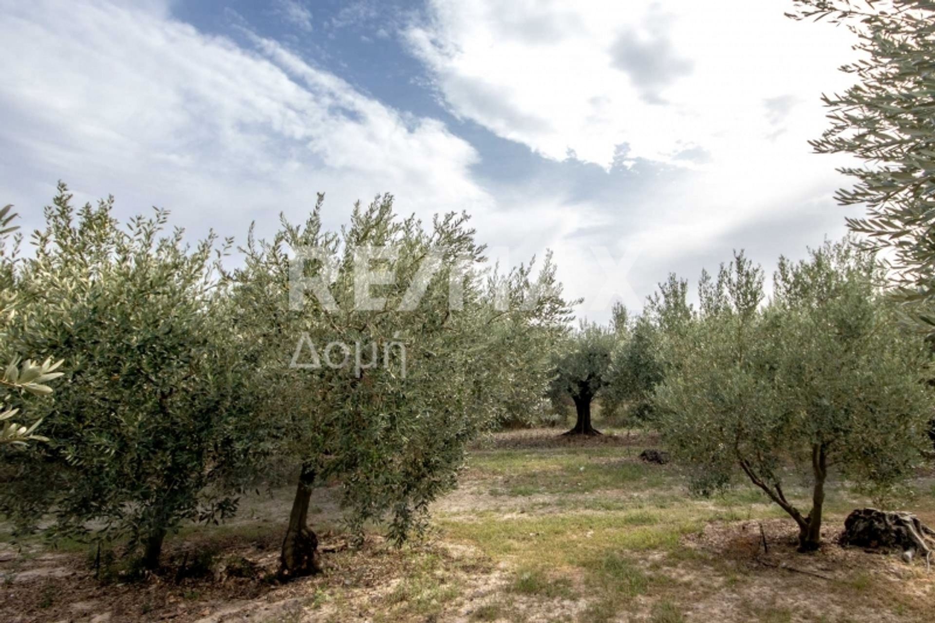 Land in Nea Agchialos,  10726706