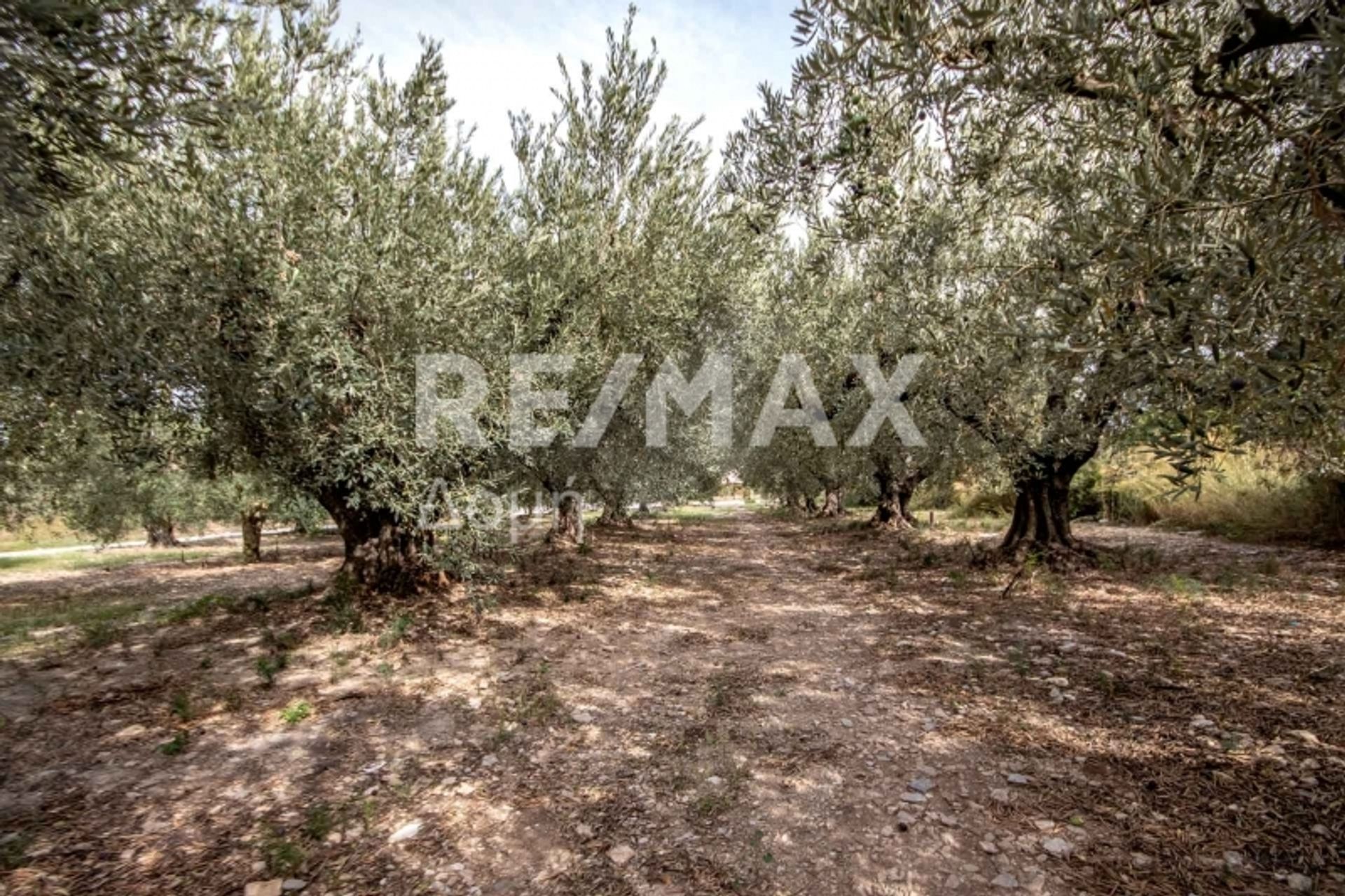 Land in Nea Agchialos,  10726706