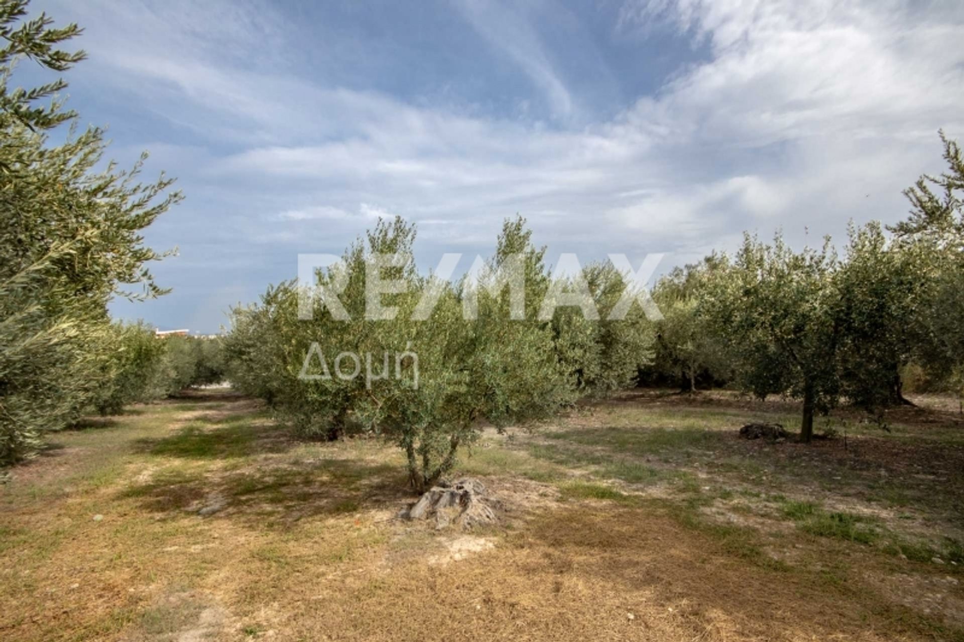 Land in Nea Agchialos,  10726706