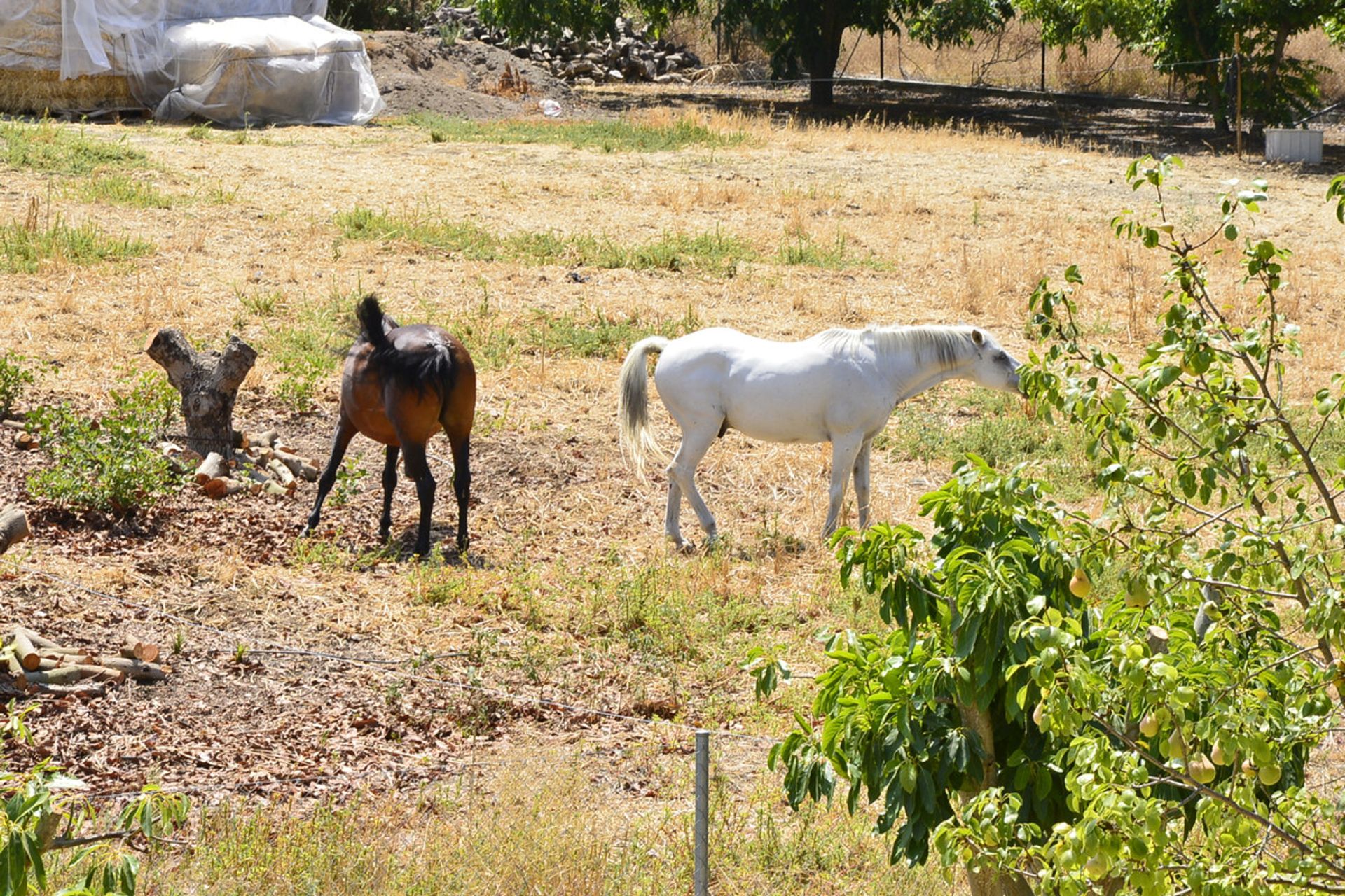 Talo sisään Alhaurin el Grande, Andalusia 10726824