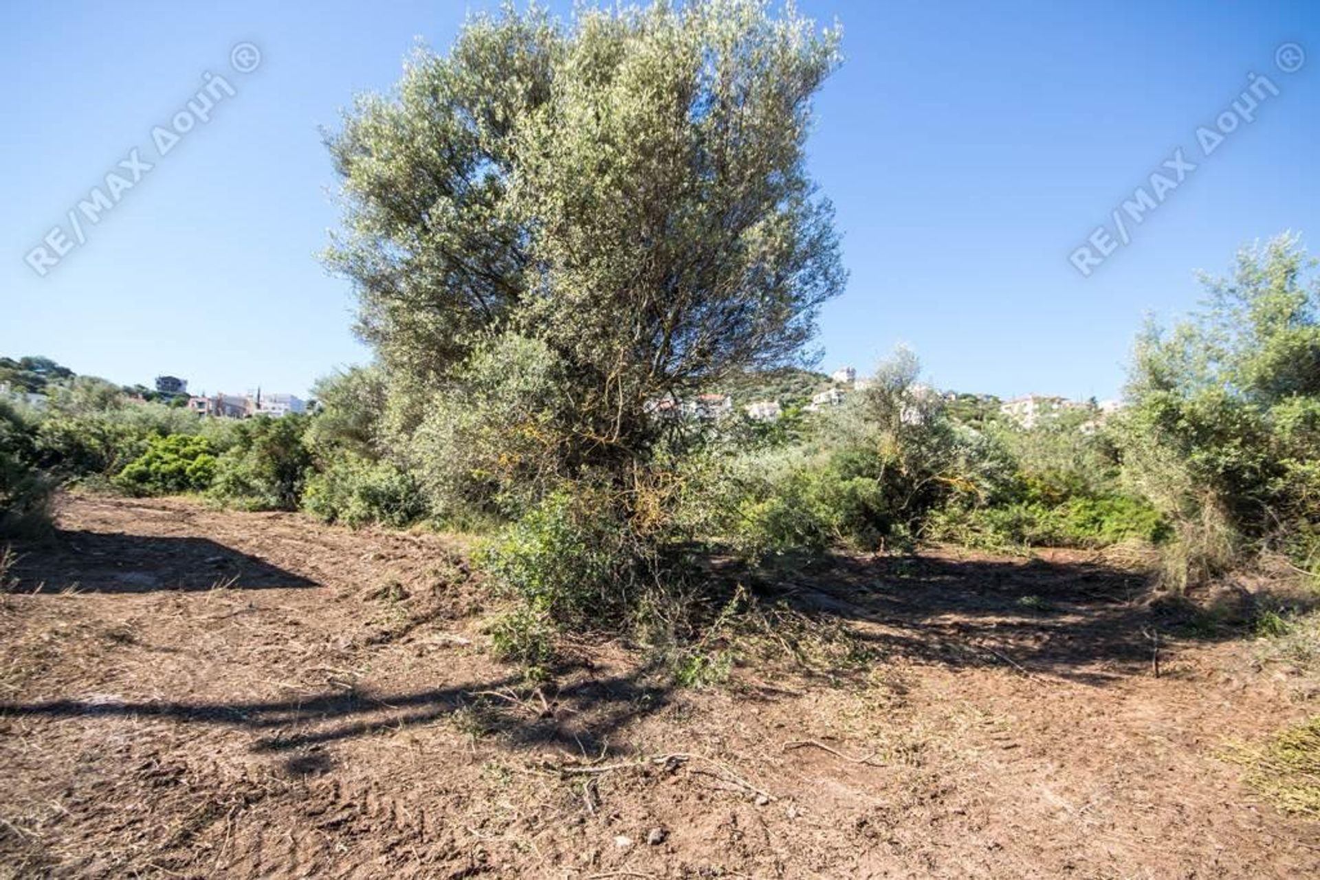 Land in Soros,  10726877