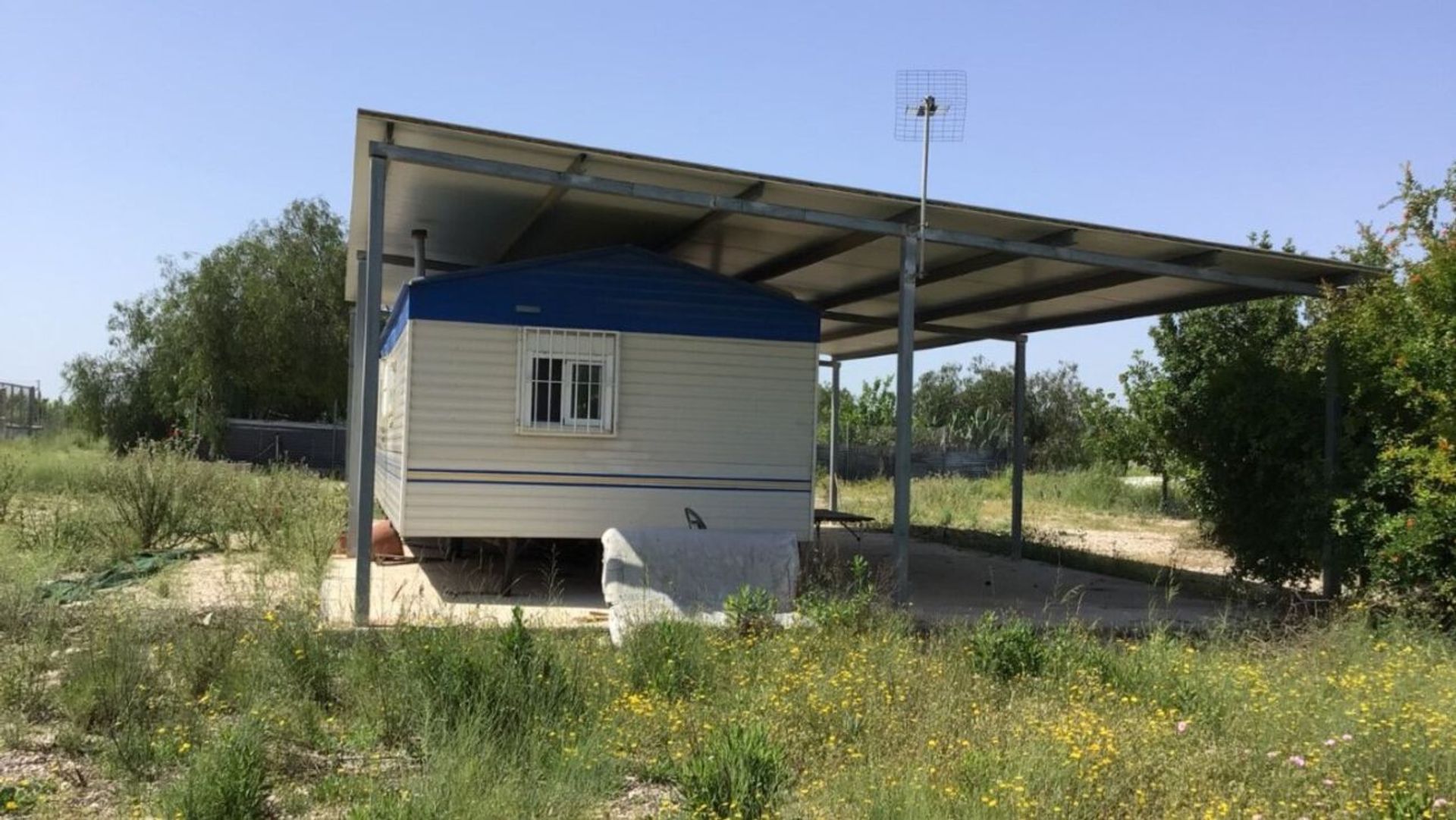 土地 在 Blanca, Región de Murcia 10726899