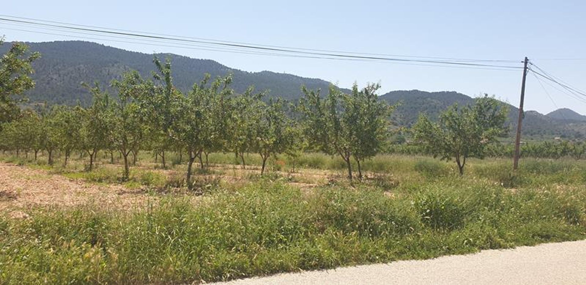 σπίτι σε El Fondó de les Neus, Valencian Community 10727158