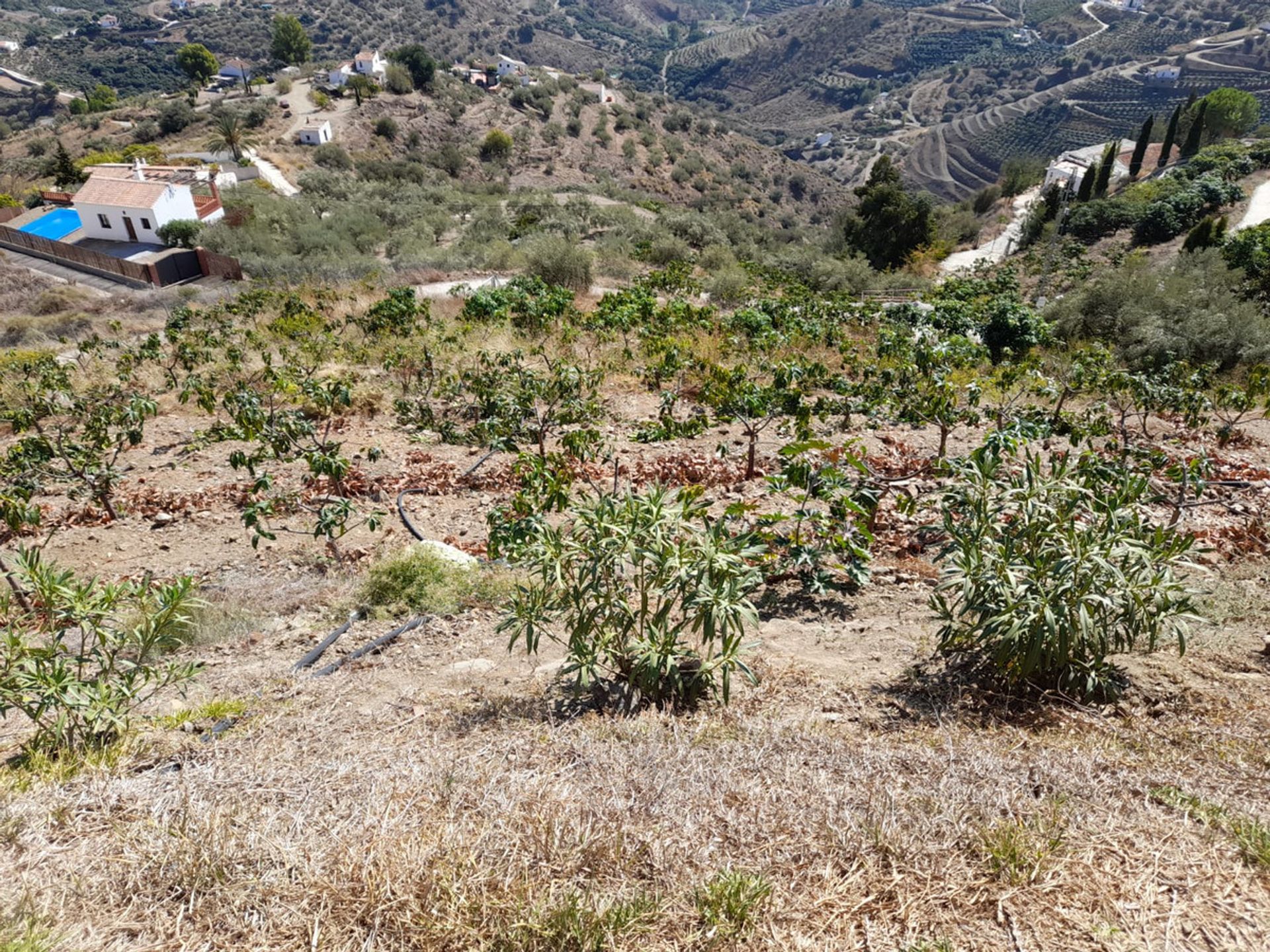 rumah dalam Frigiliana, Andalucía 10728039