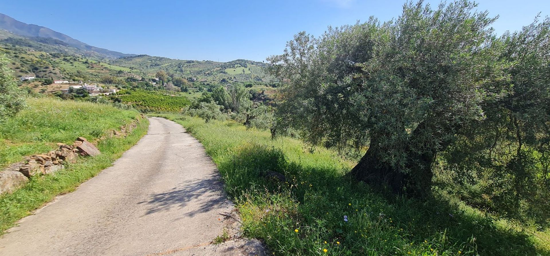 casa no Tolox, Andalucía 10728128