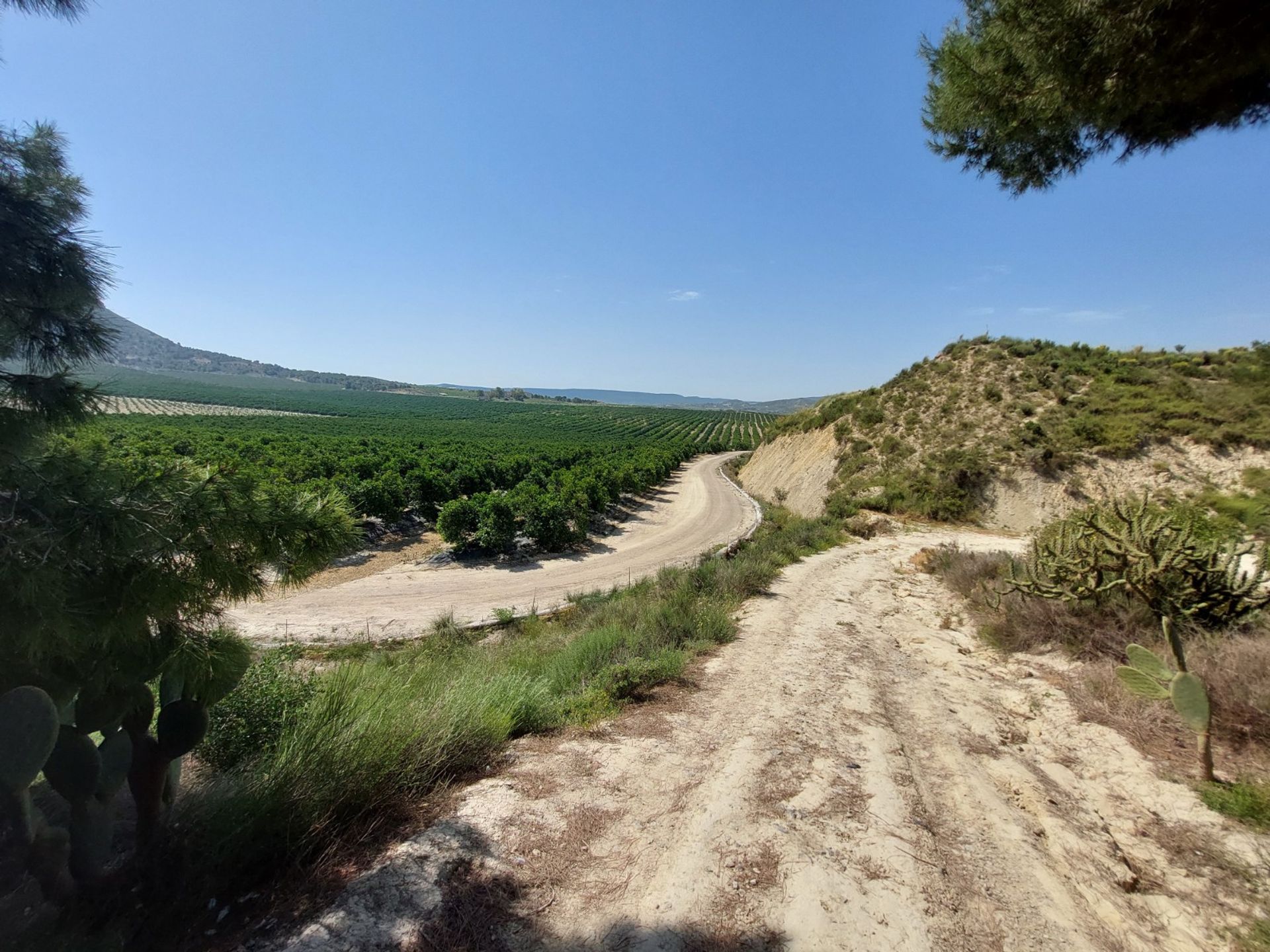 Casa nel Orihuela, Comunidad Valenciana 10728178