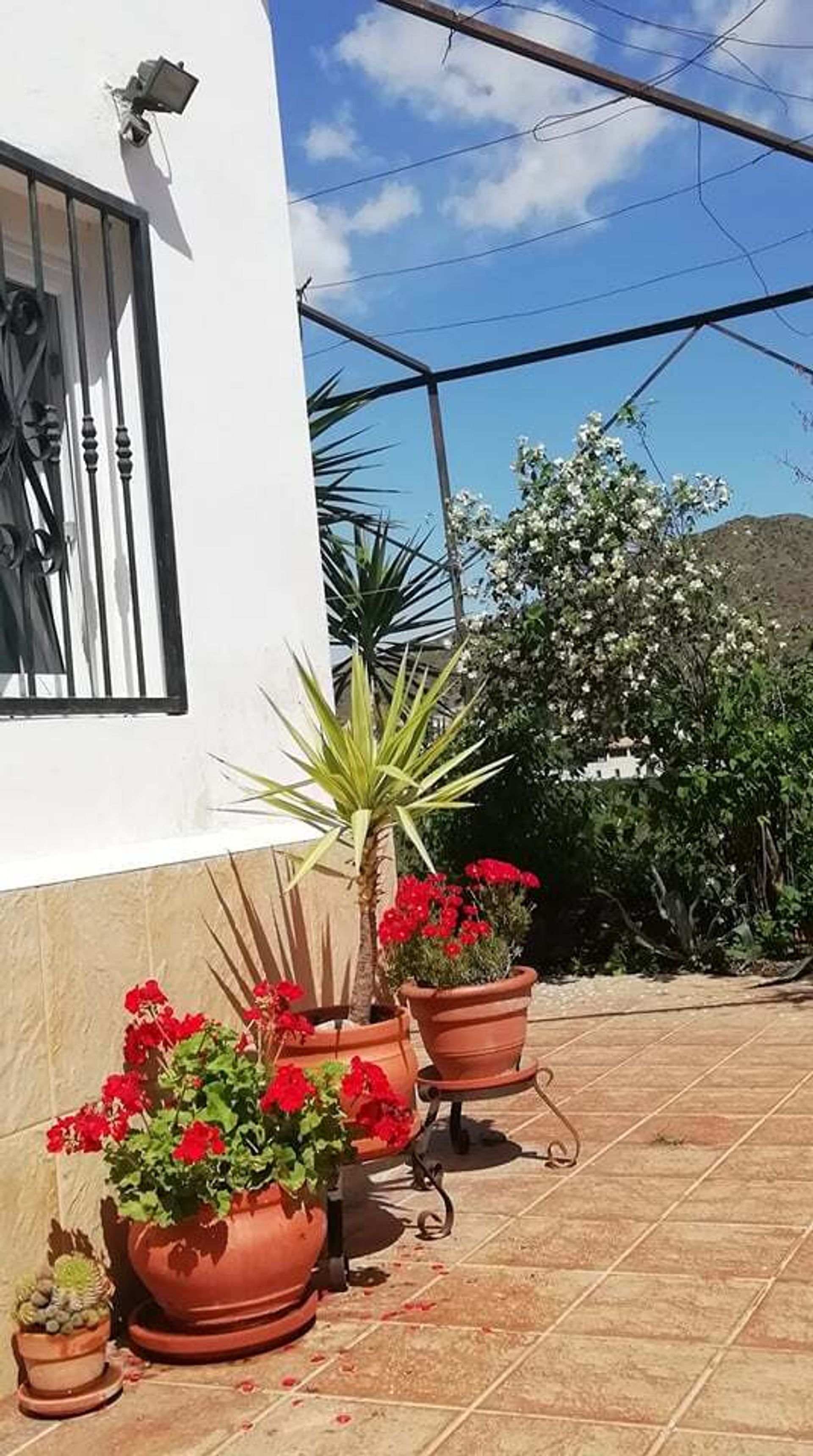 Huis in Cantoria, Andalusië 10728222