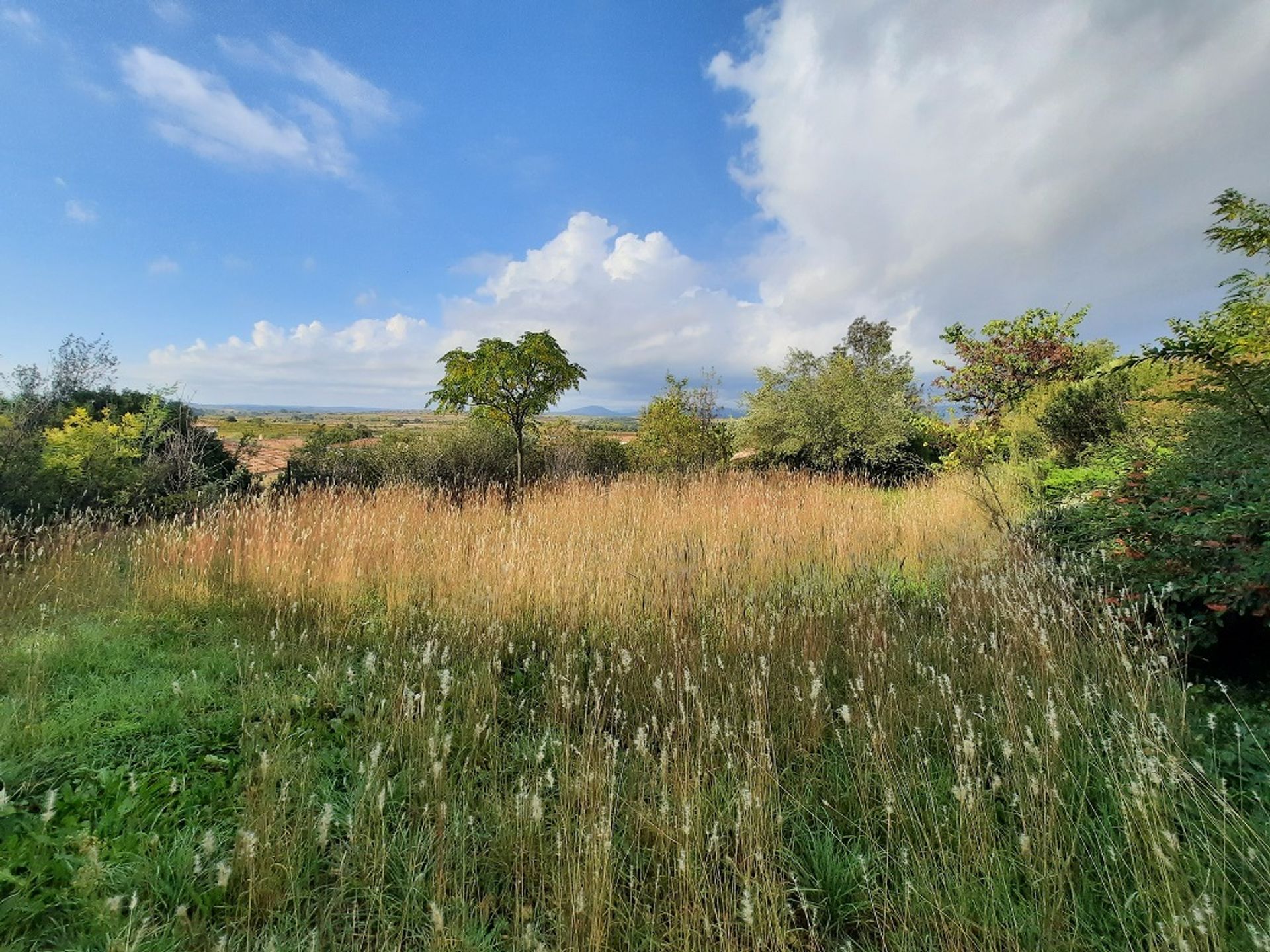 Haus im Faugères, Occitanie 10728261