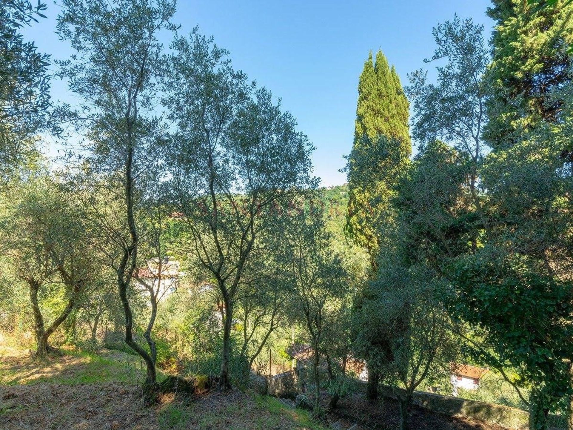 House in Massarosa, Tuscany 10728372