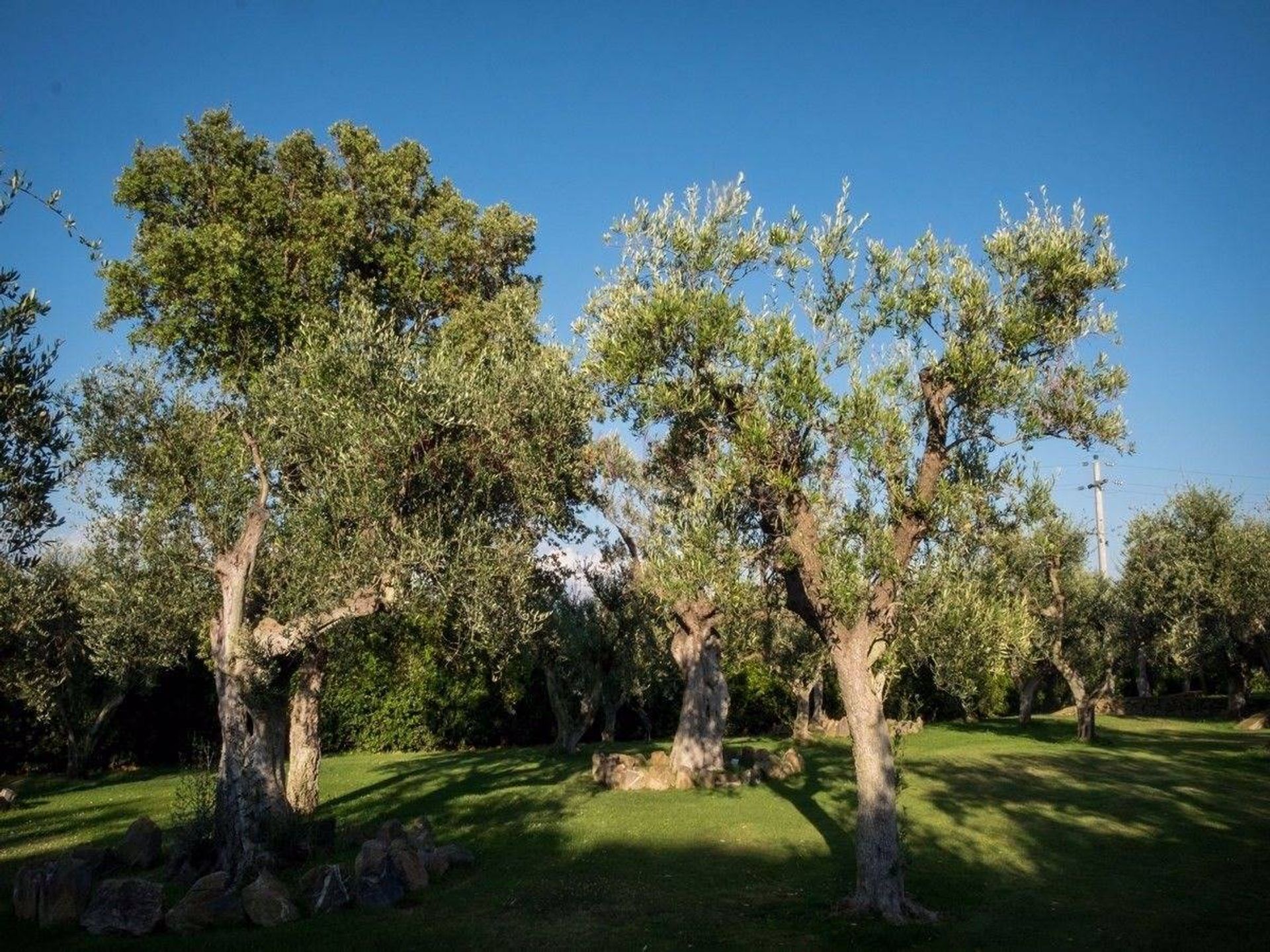 жилой дом в Capalbio, Toscana 10728384