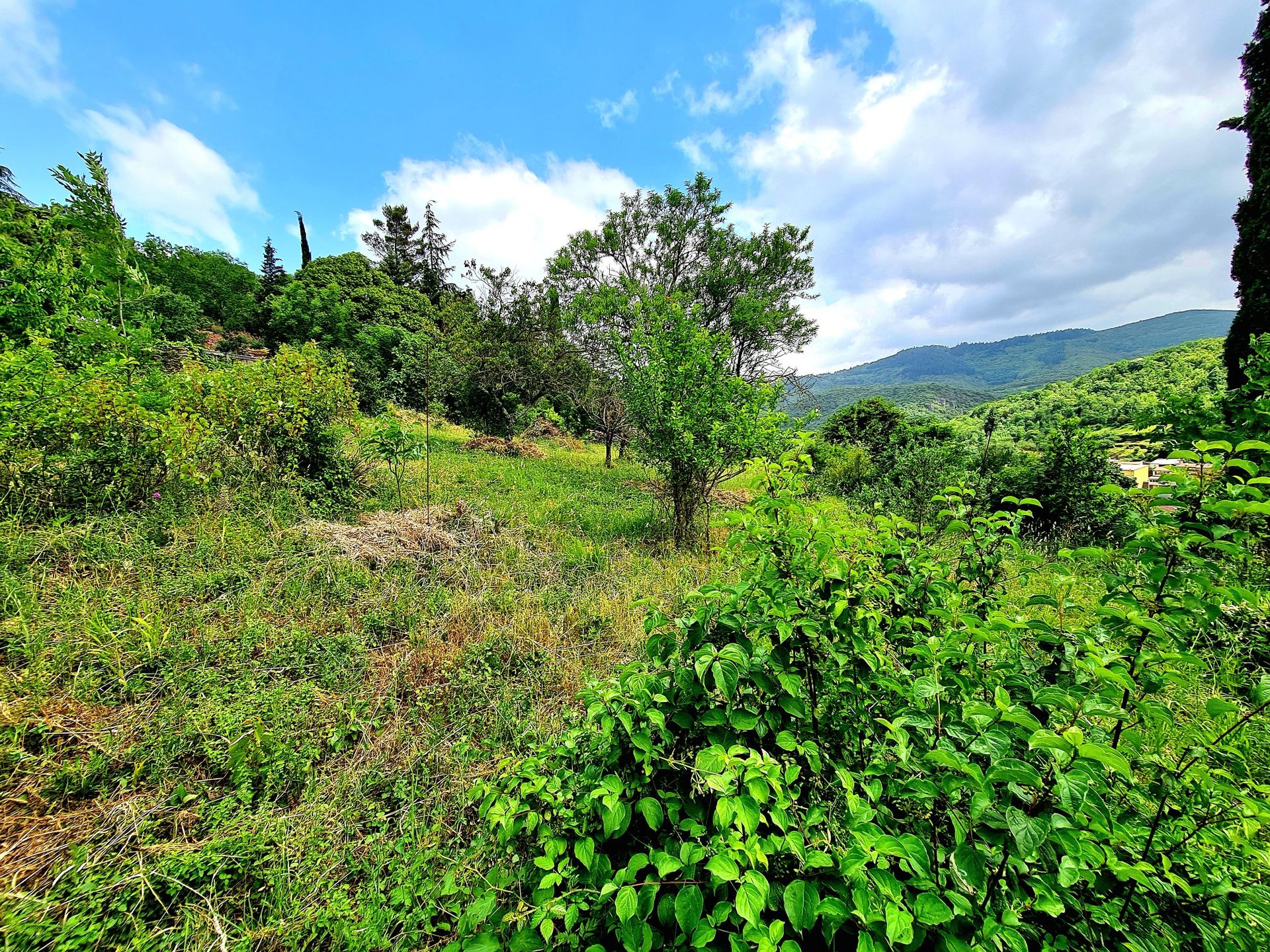 rumah dalam Saint-Chinian, Occitanie 10728479