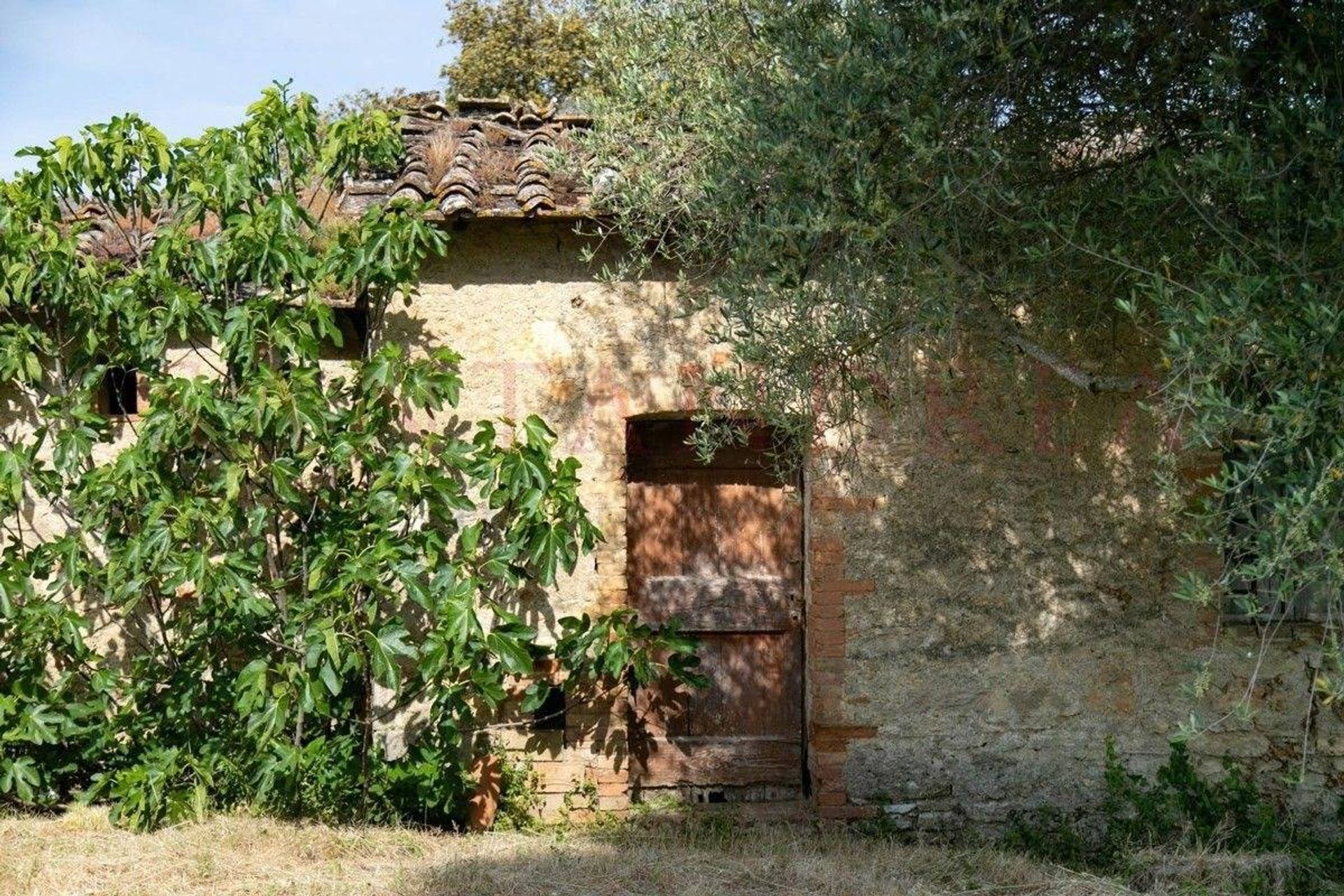 House in Casole d'Elsa, Toscana 10728679