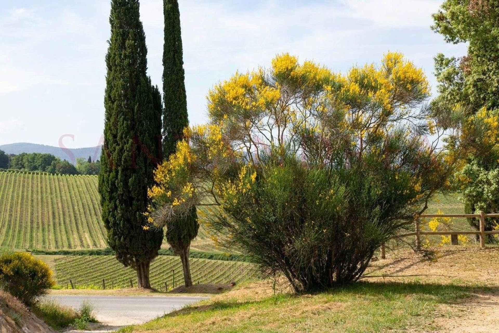 House in Casole d'Elsa, Toscana 10728679