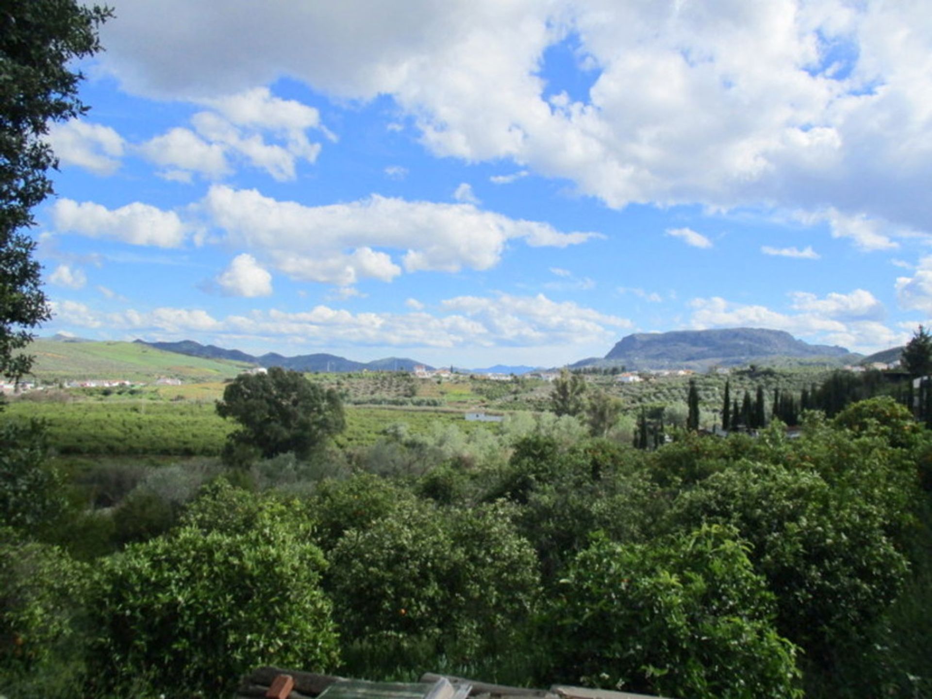 Hus i Bermejo, Andalucía 10728723