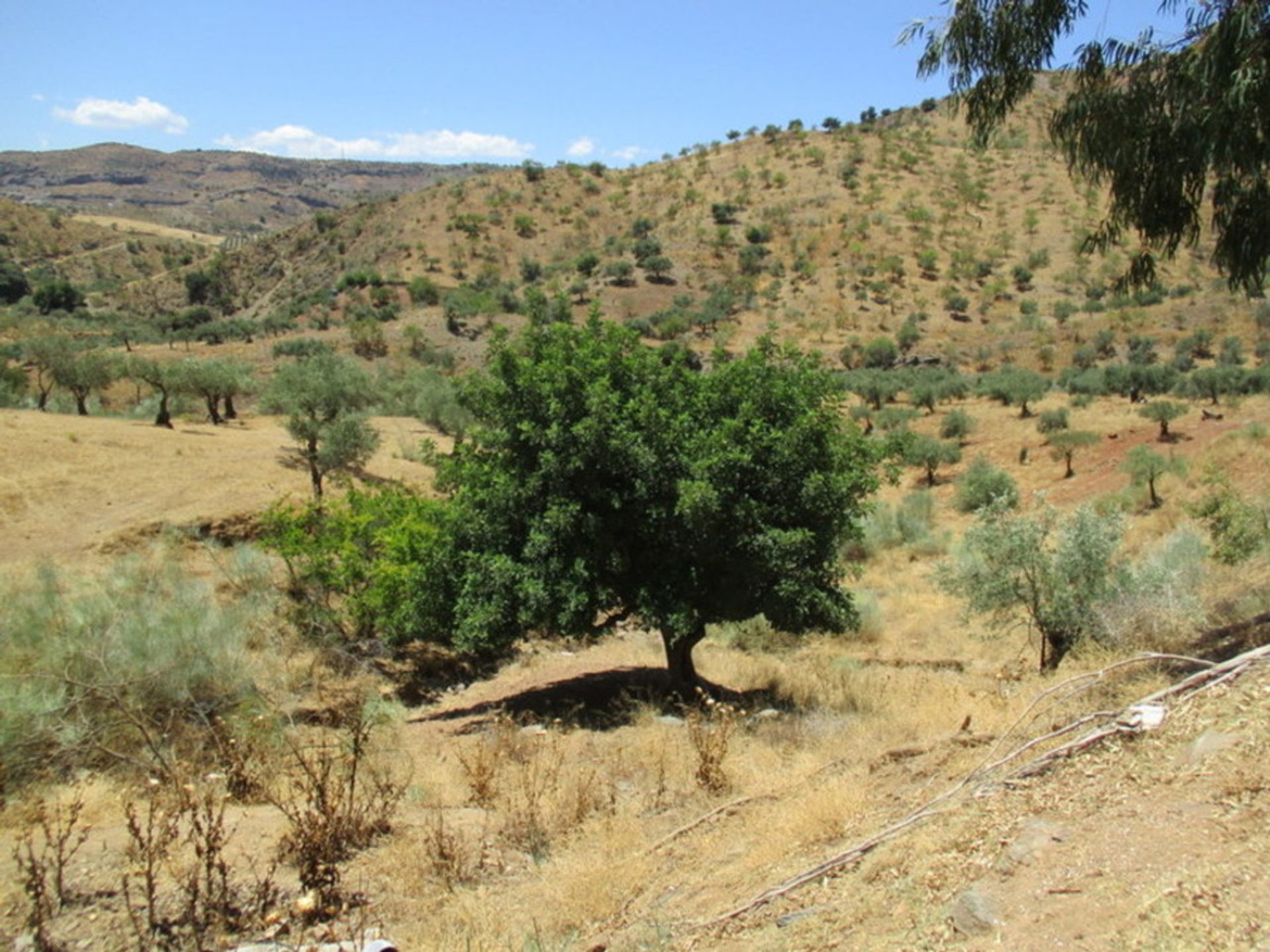 loger dans Álora, Andalucía 10728770