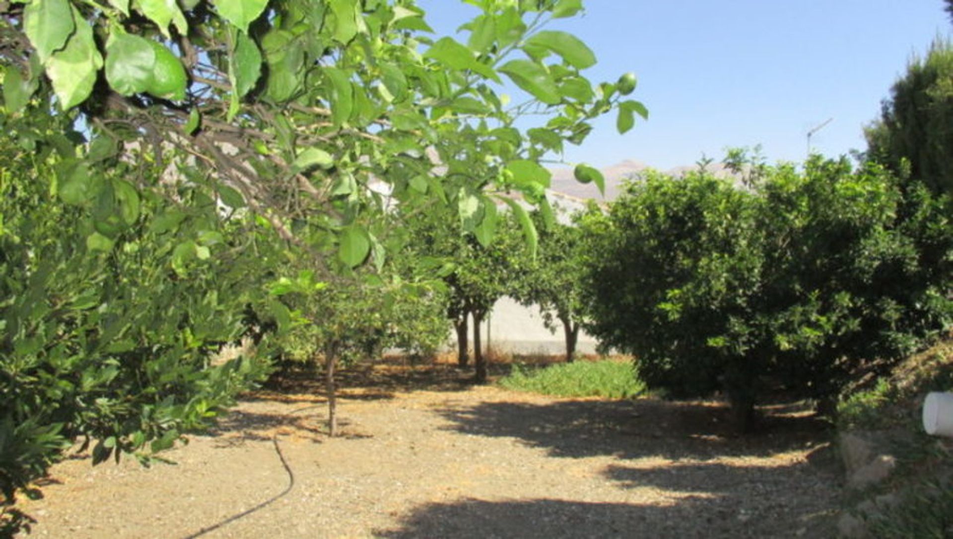 casa en Bermejo, Andalucía 10728783