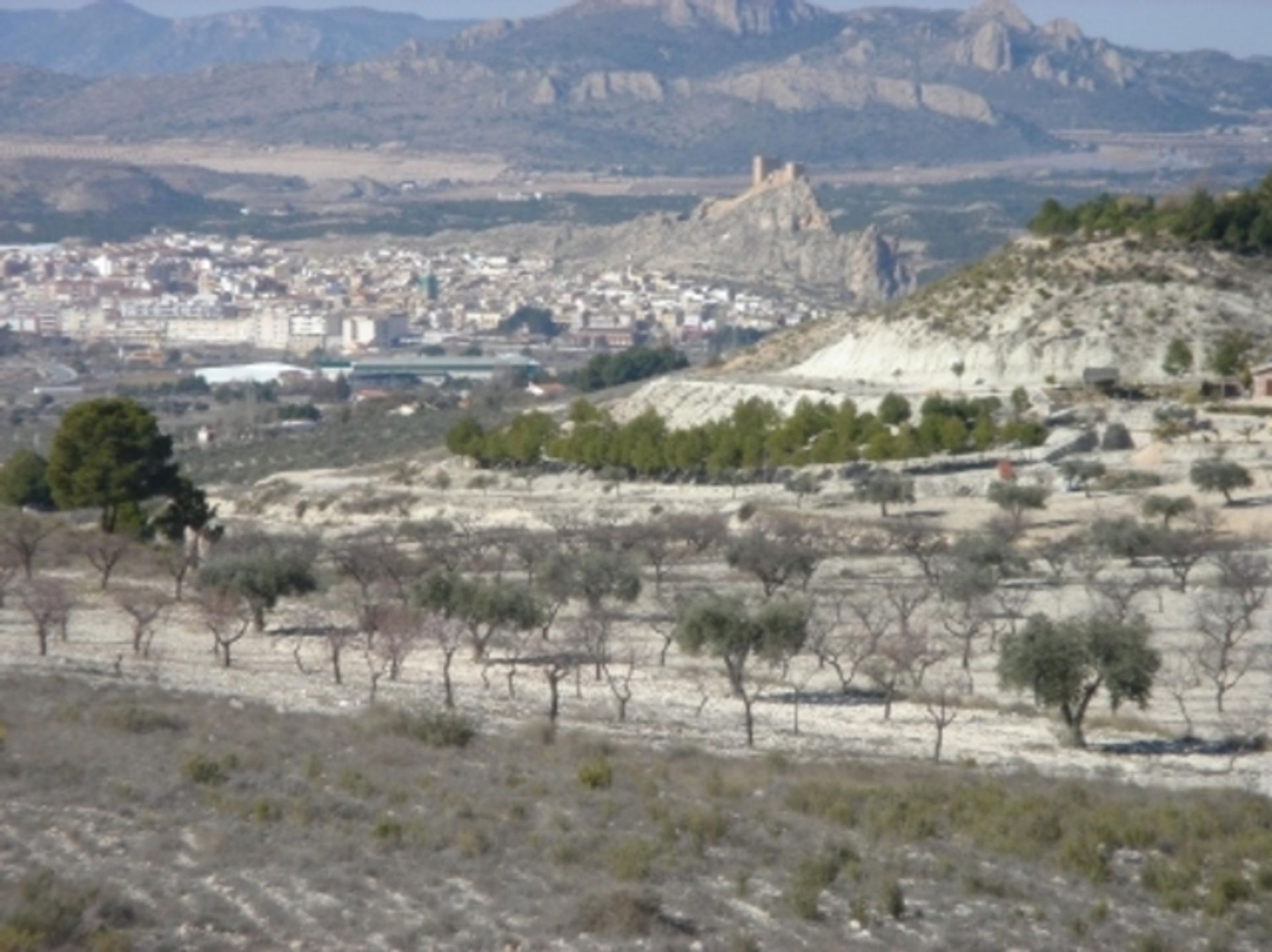 Terra no Câmara, Valência 10728941