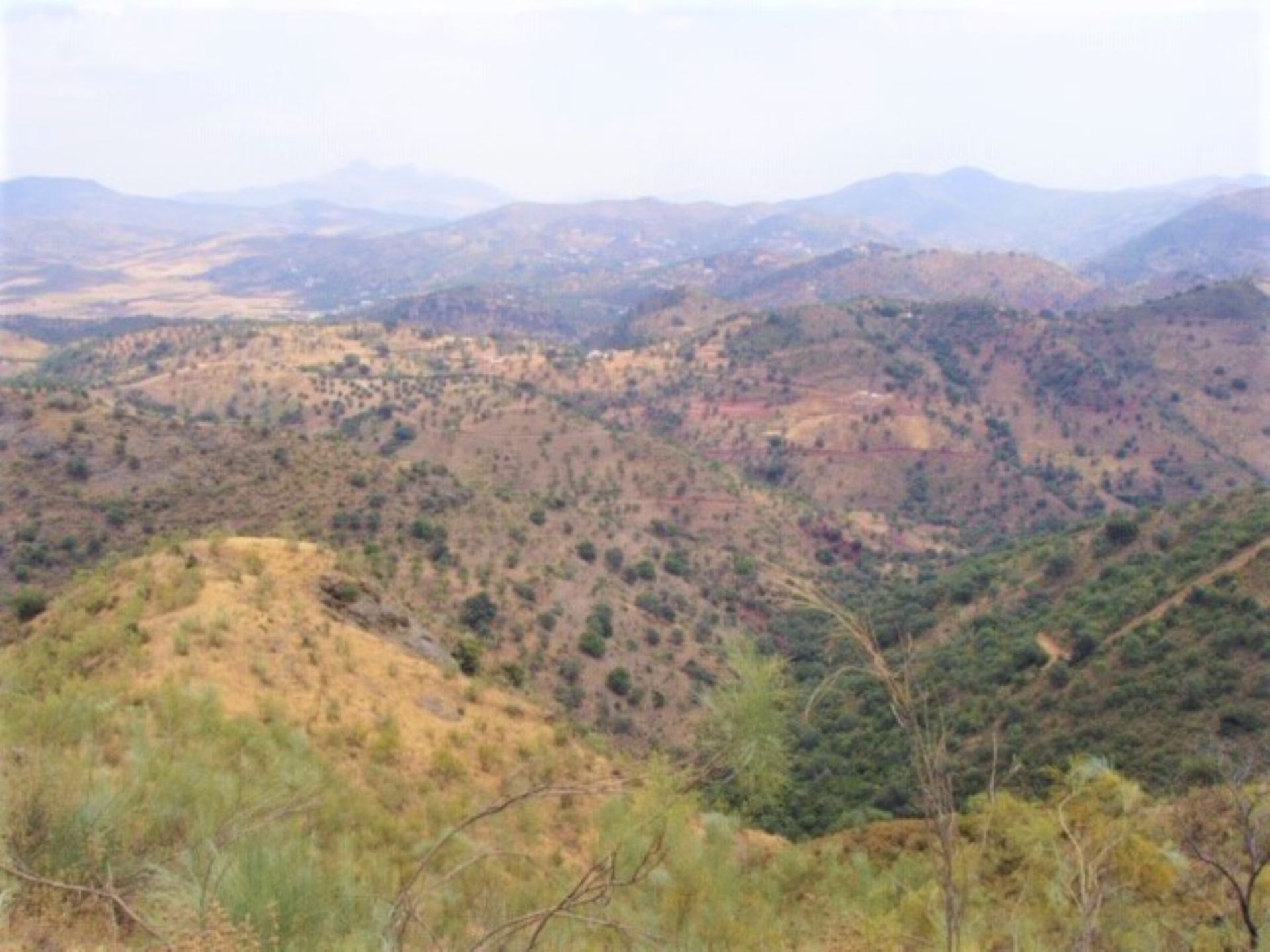 Terre dans Almogía, Andalucía 10729032