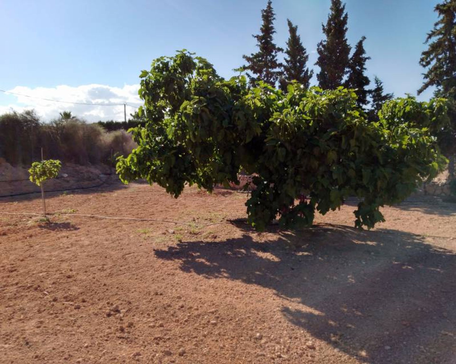 Rumah di Murcia, Región de Murcia 10729159