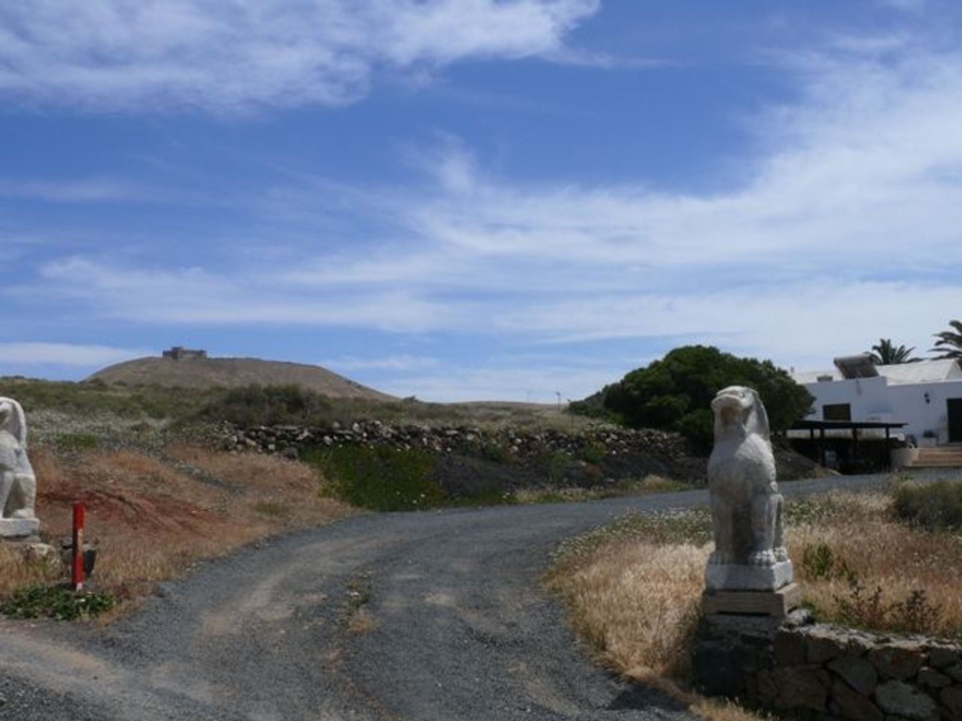 土地 在 特吉塞, 加那利群岛 10729344