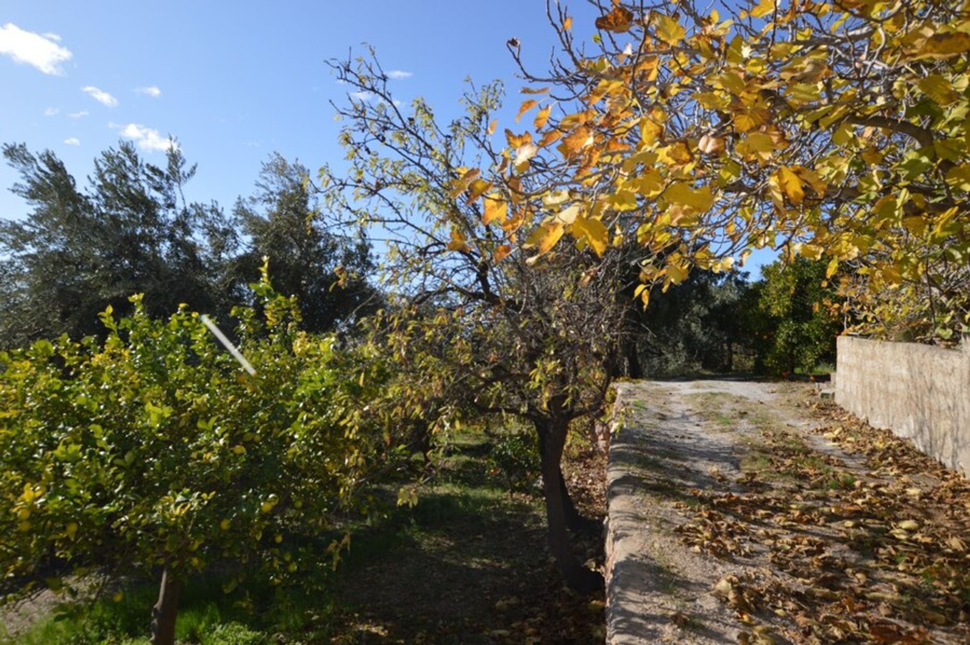 Talo sisään Lanjarón, Andalucía 10729381