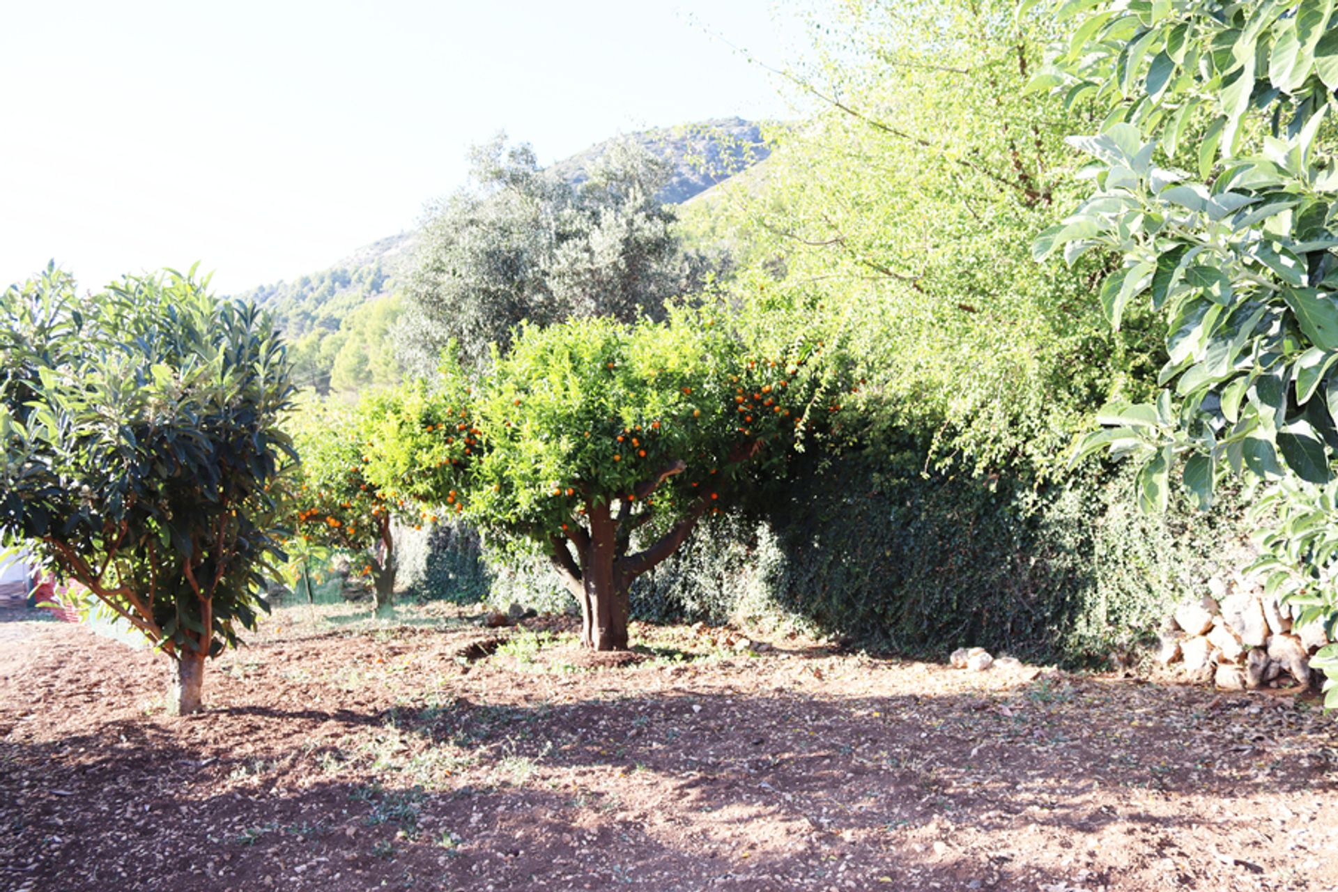 House in Tàrbena, Comunidad Valenciana 10729470