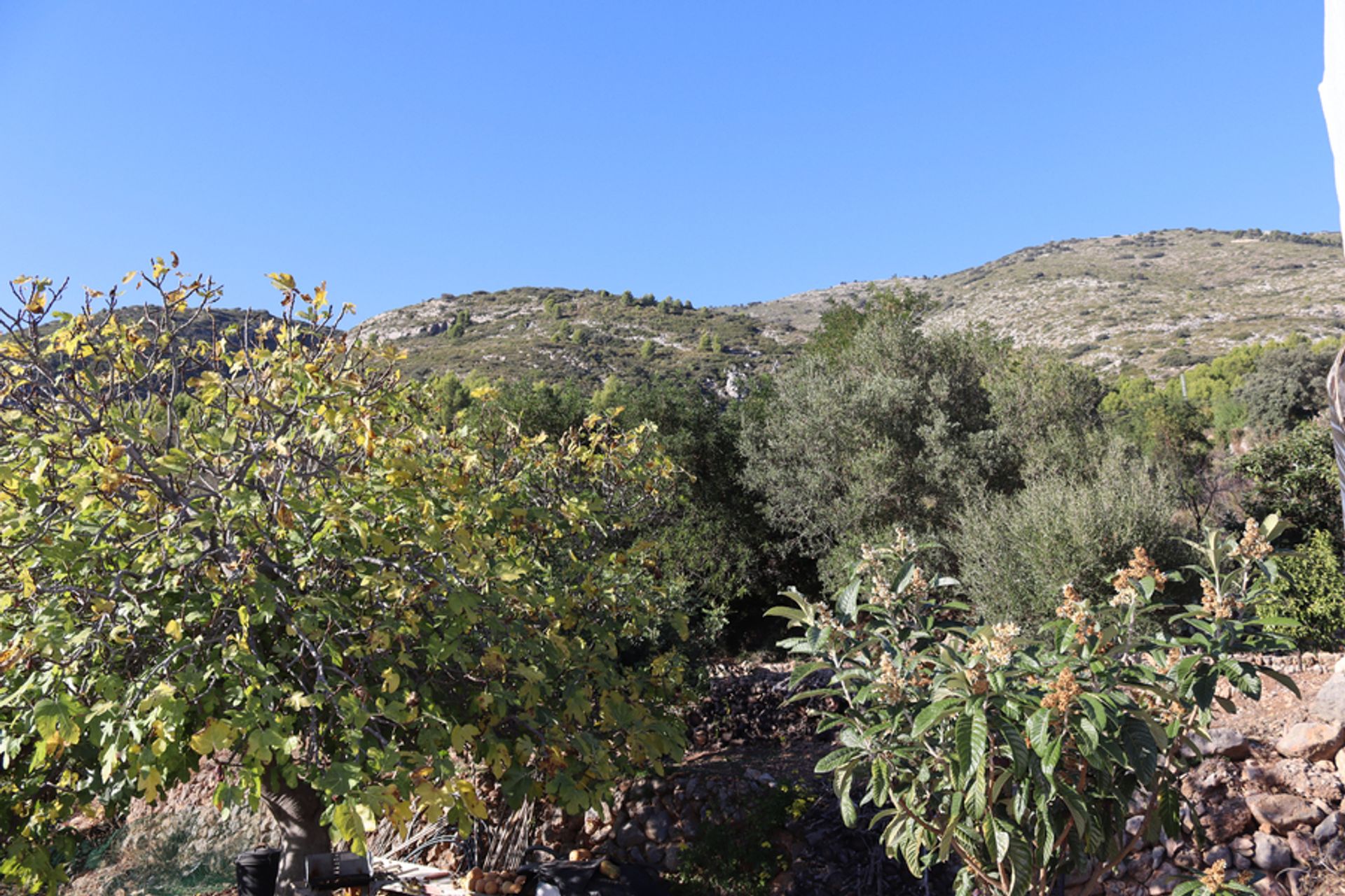 House in Tàrbena, Comunidad Valenciana 10729470