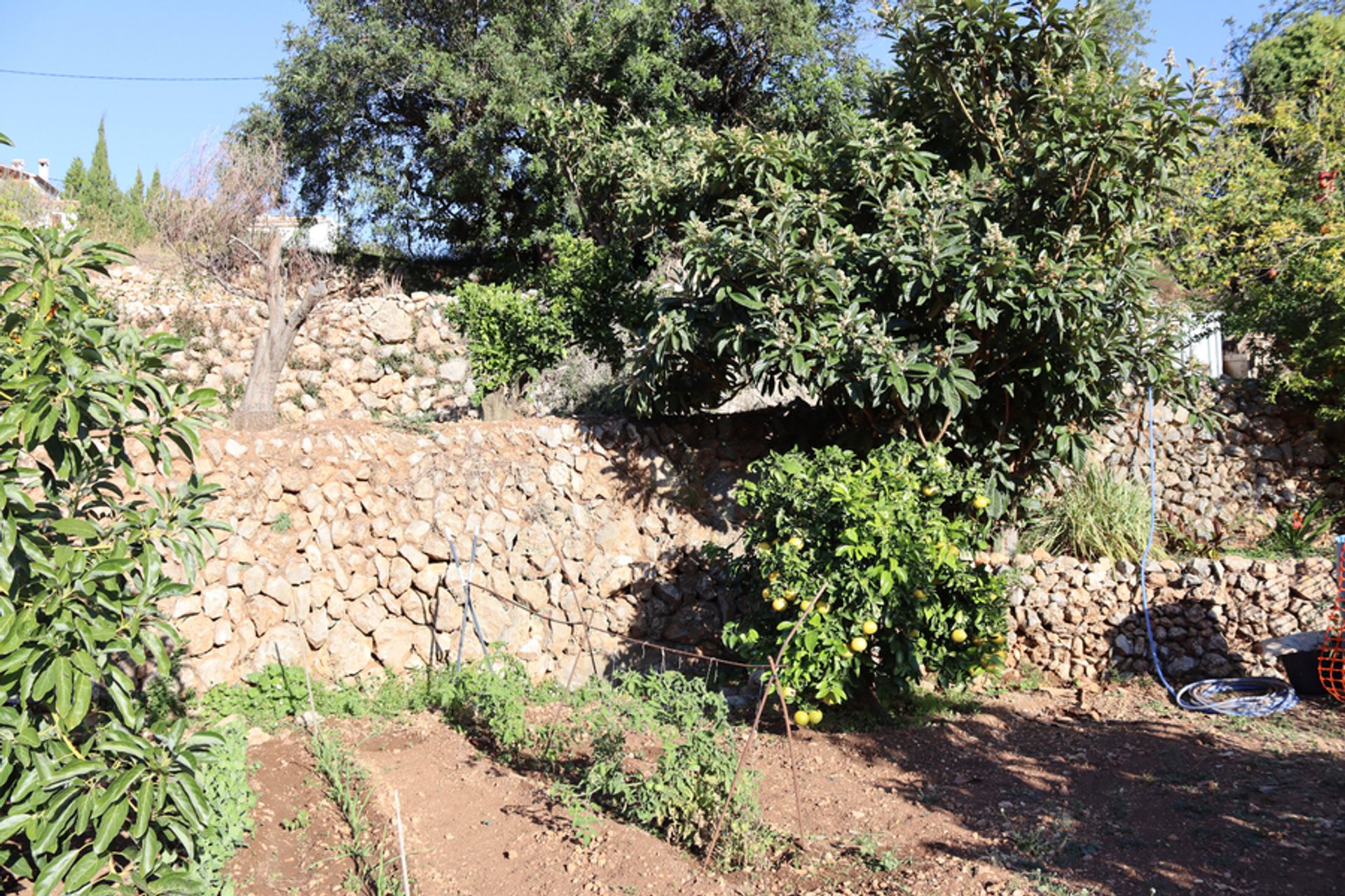 House in Tàrbena, Comunidad Valenciana 10729470