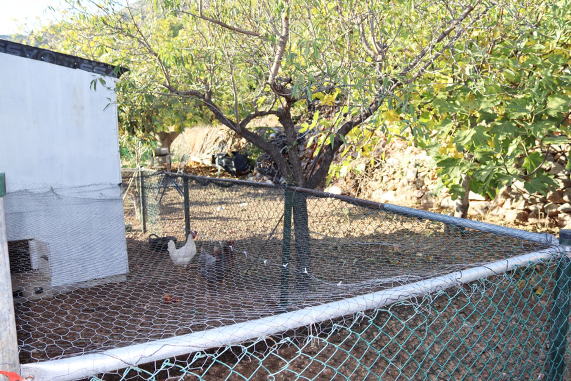 House in Tàrbena, Comunidad Valenciana 10729470