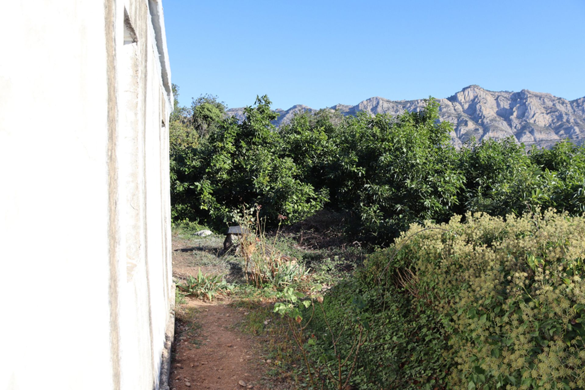 House in Tàrbena, Comunidad Valenciana 10729470