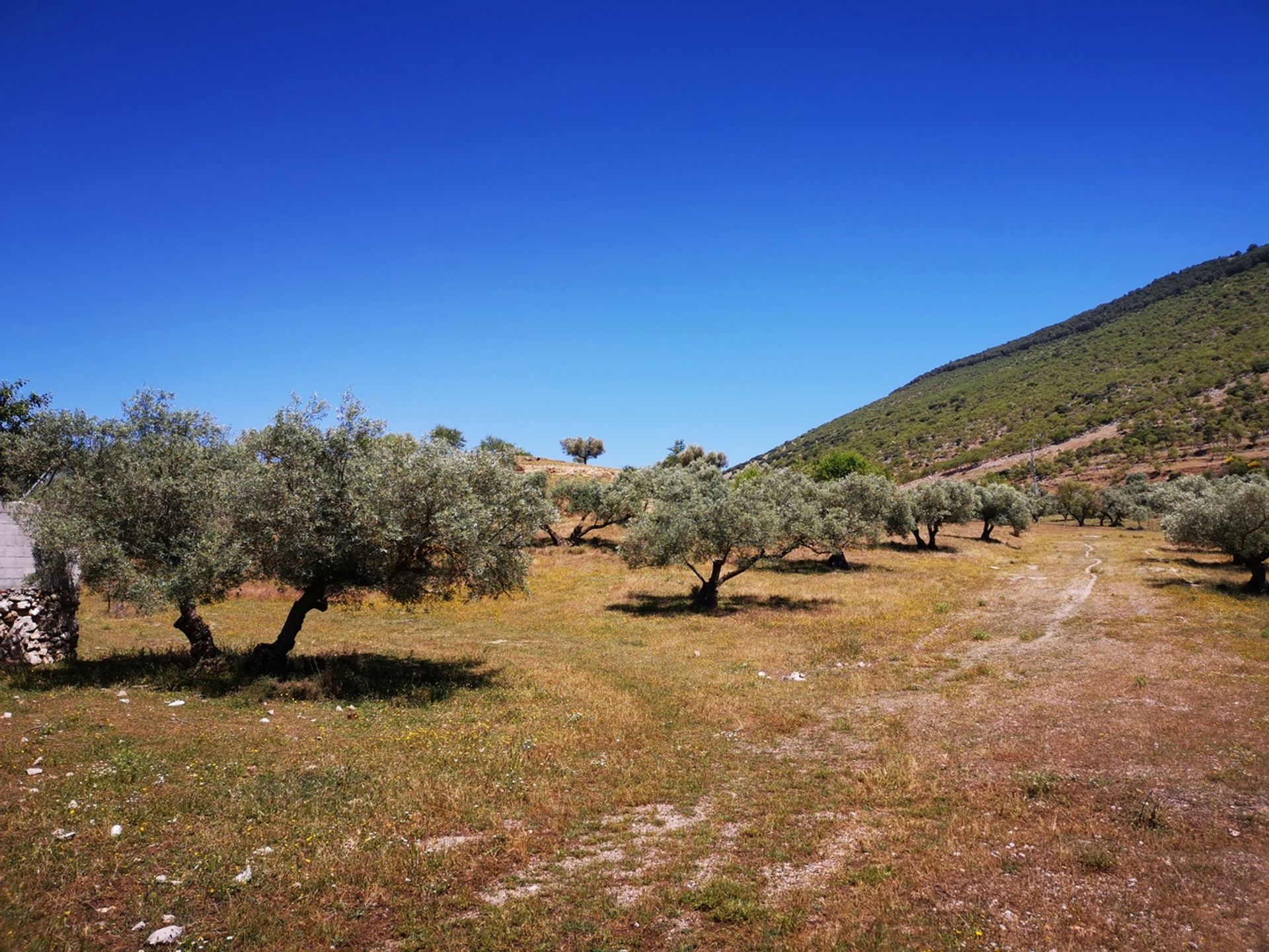 Земля в Periana, Andalucía 10729478