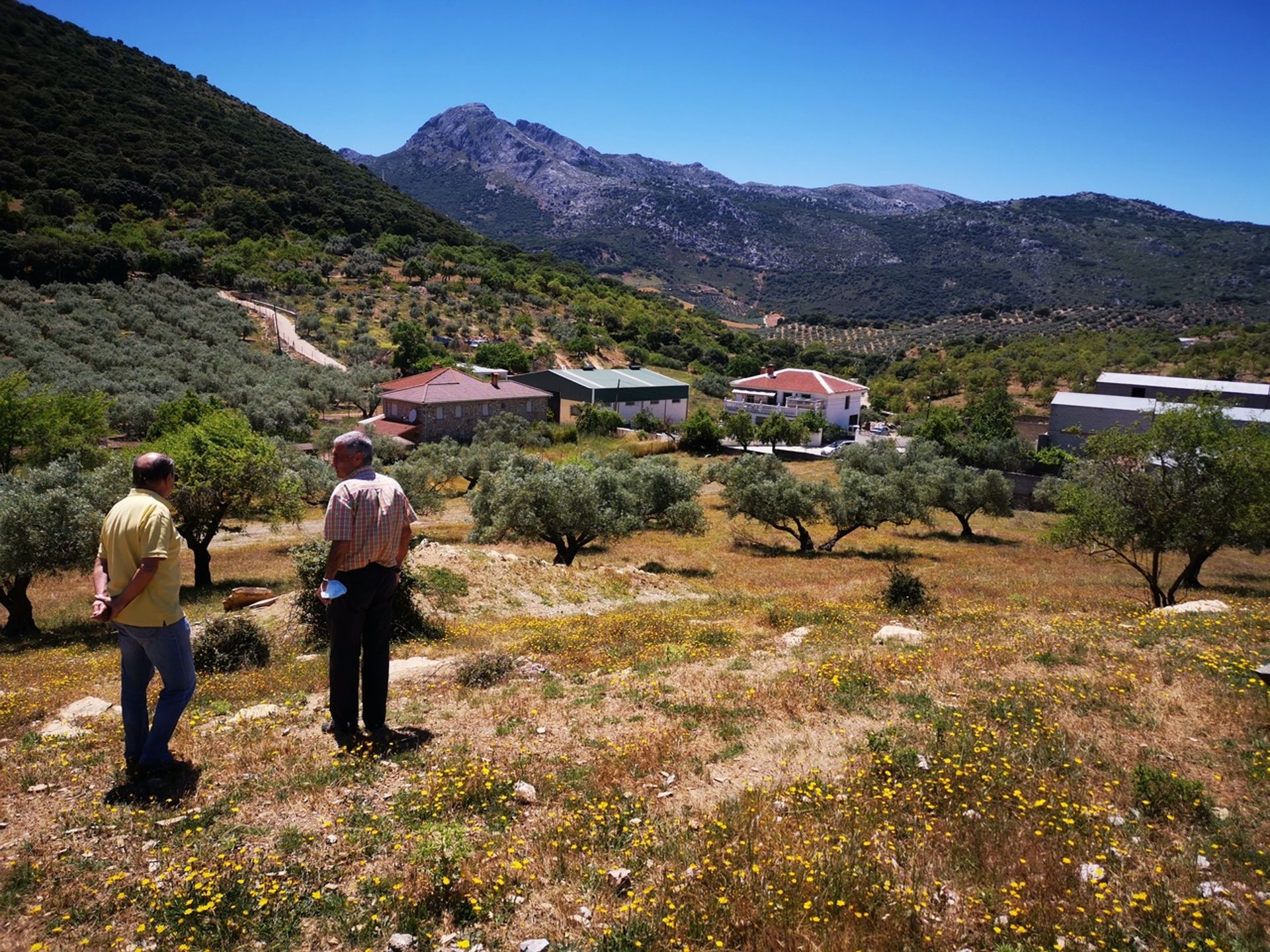 Земля в Periana, Andalucía 10729478