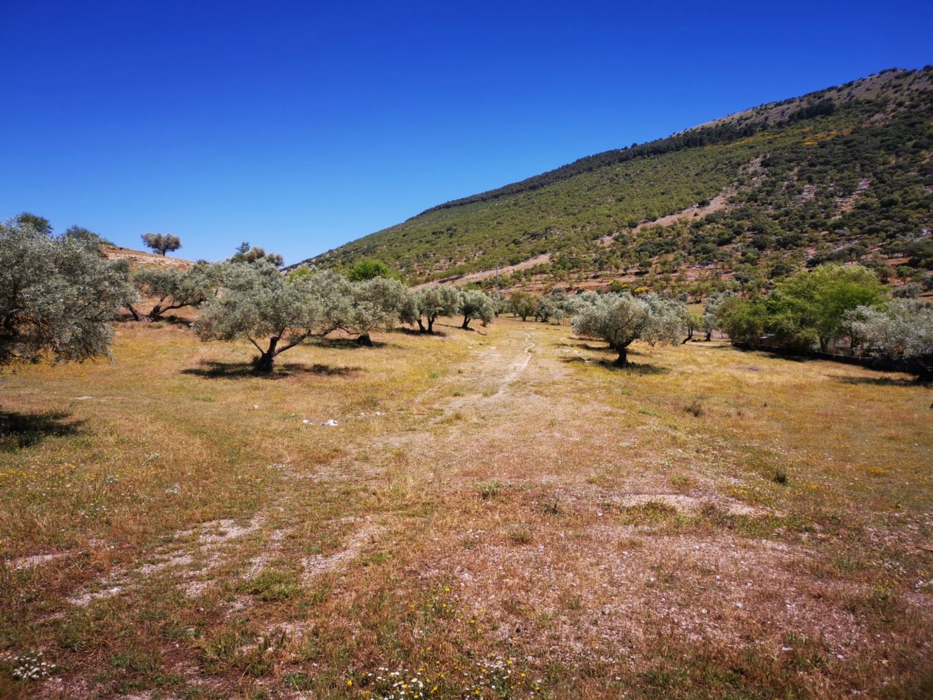 Земля в Periana, Andalucía 10729478