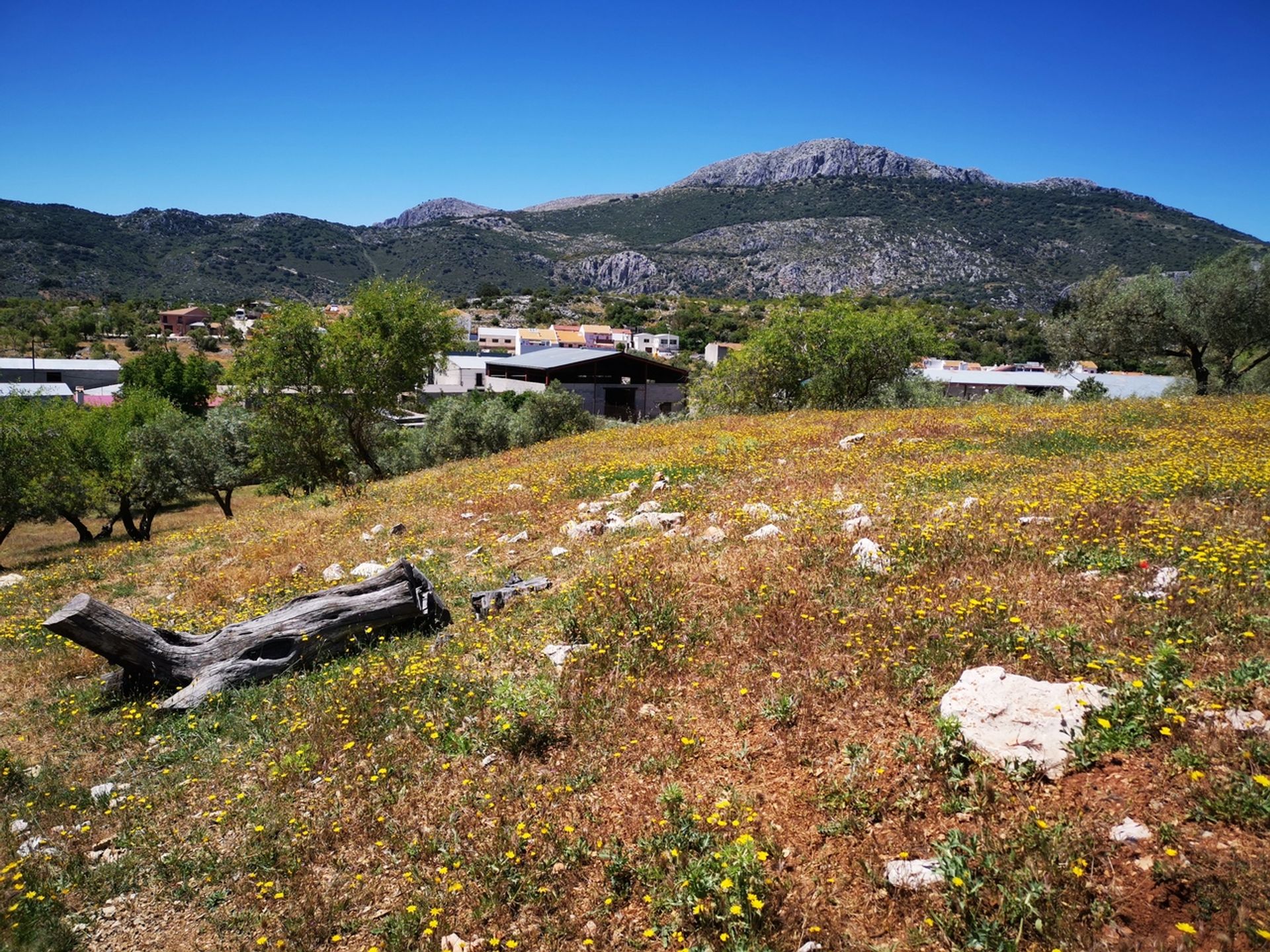 Земля в Periana, Andalucía 10729478