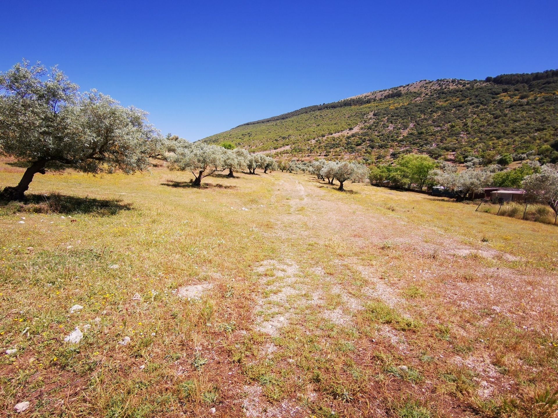 Земля в Periana, Andalucía 10729478