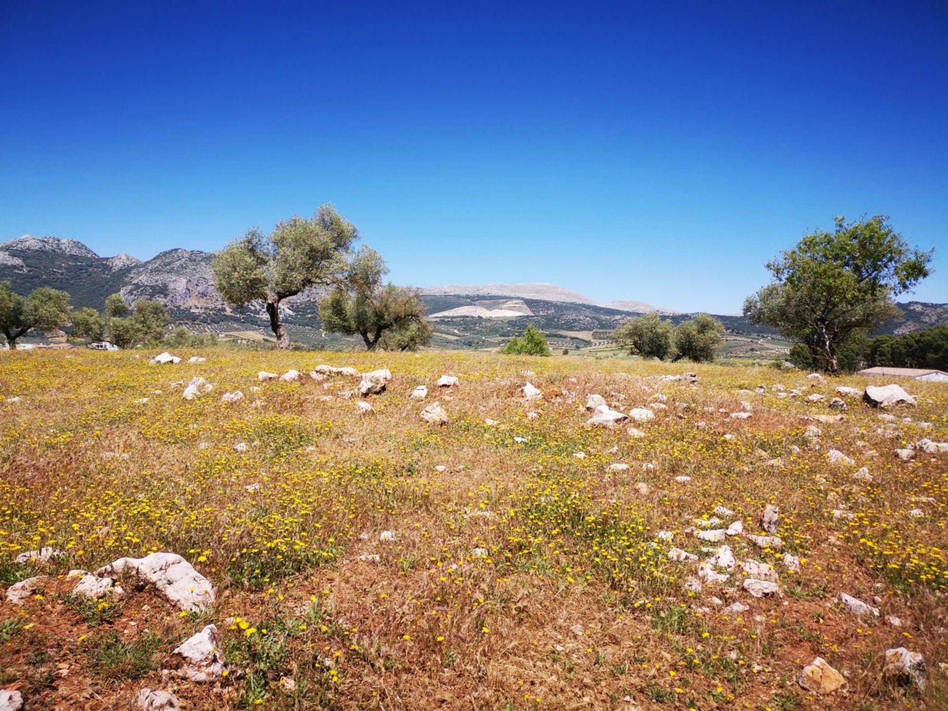 Земля в Periana, Andalucía 10729478