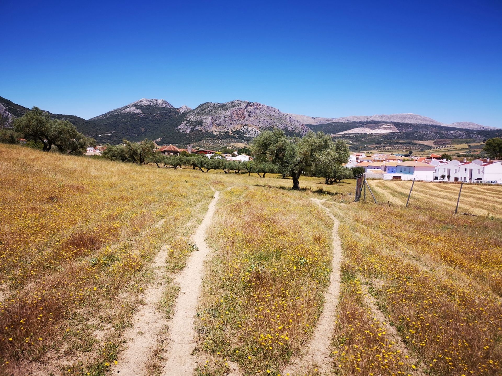 Земля в Periana, Andalucía 10729478