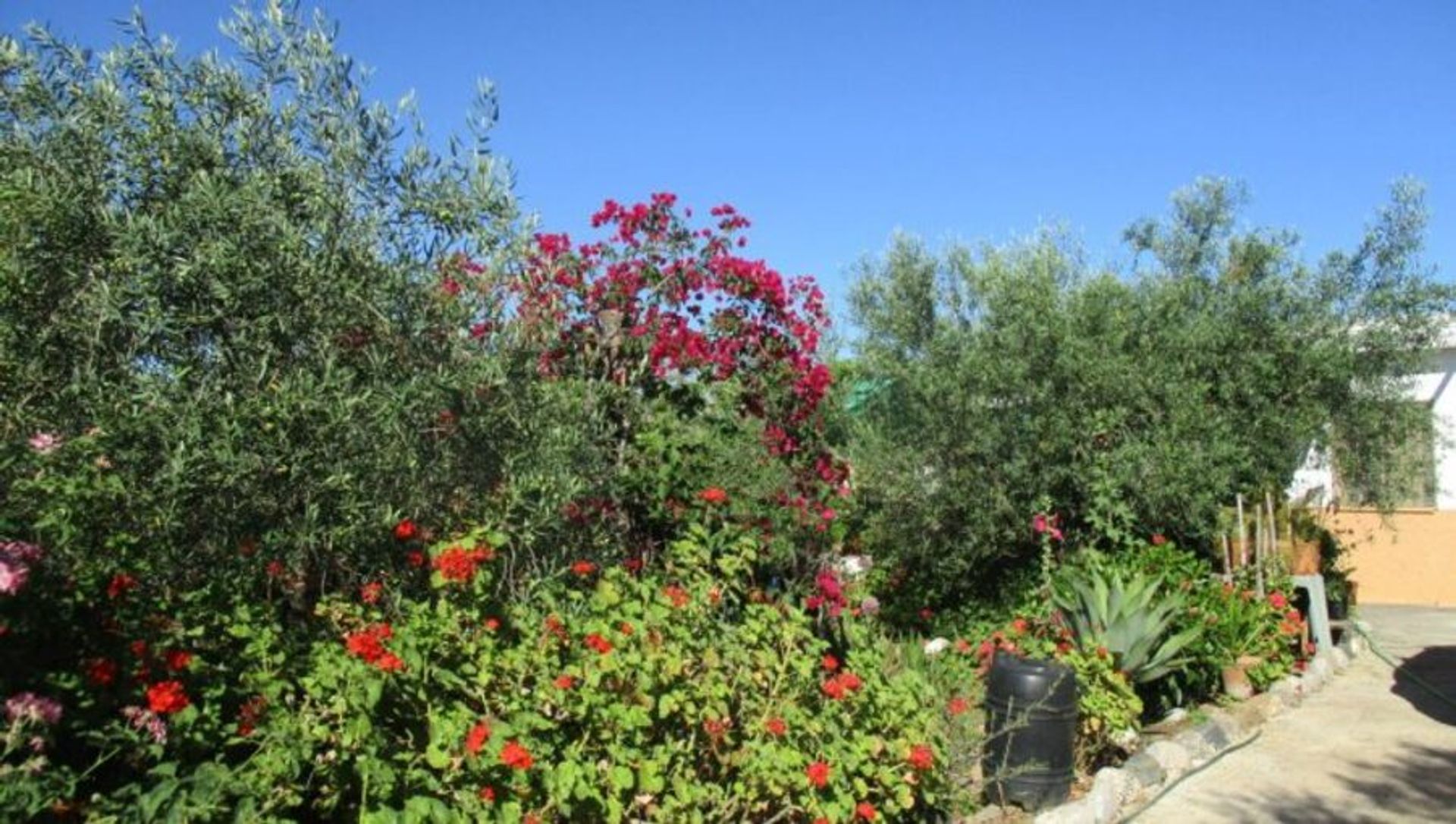 House in Álora, Andalucía 10729546