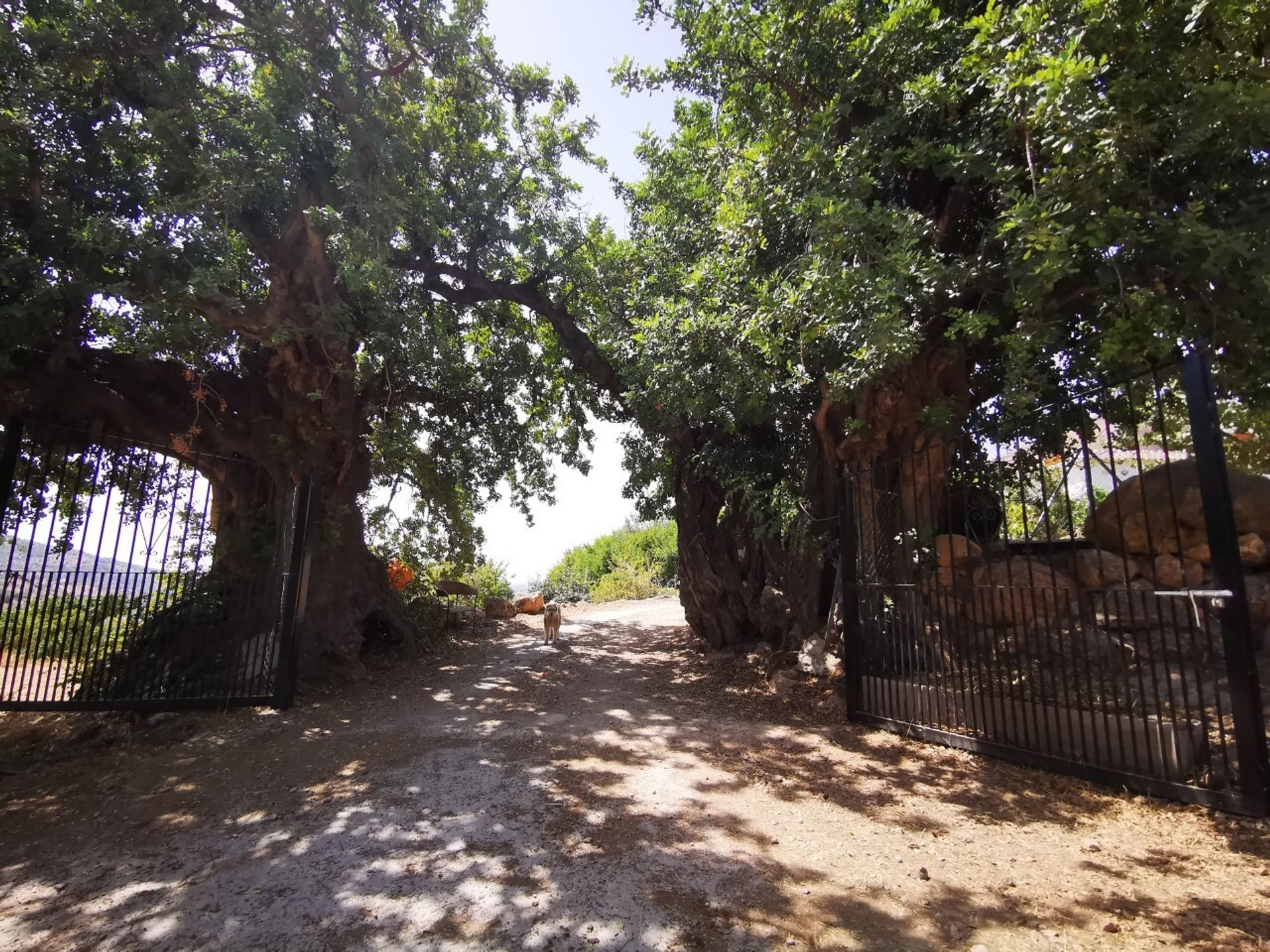 casa no Alcaucina, Andaluzia 10729606