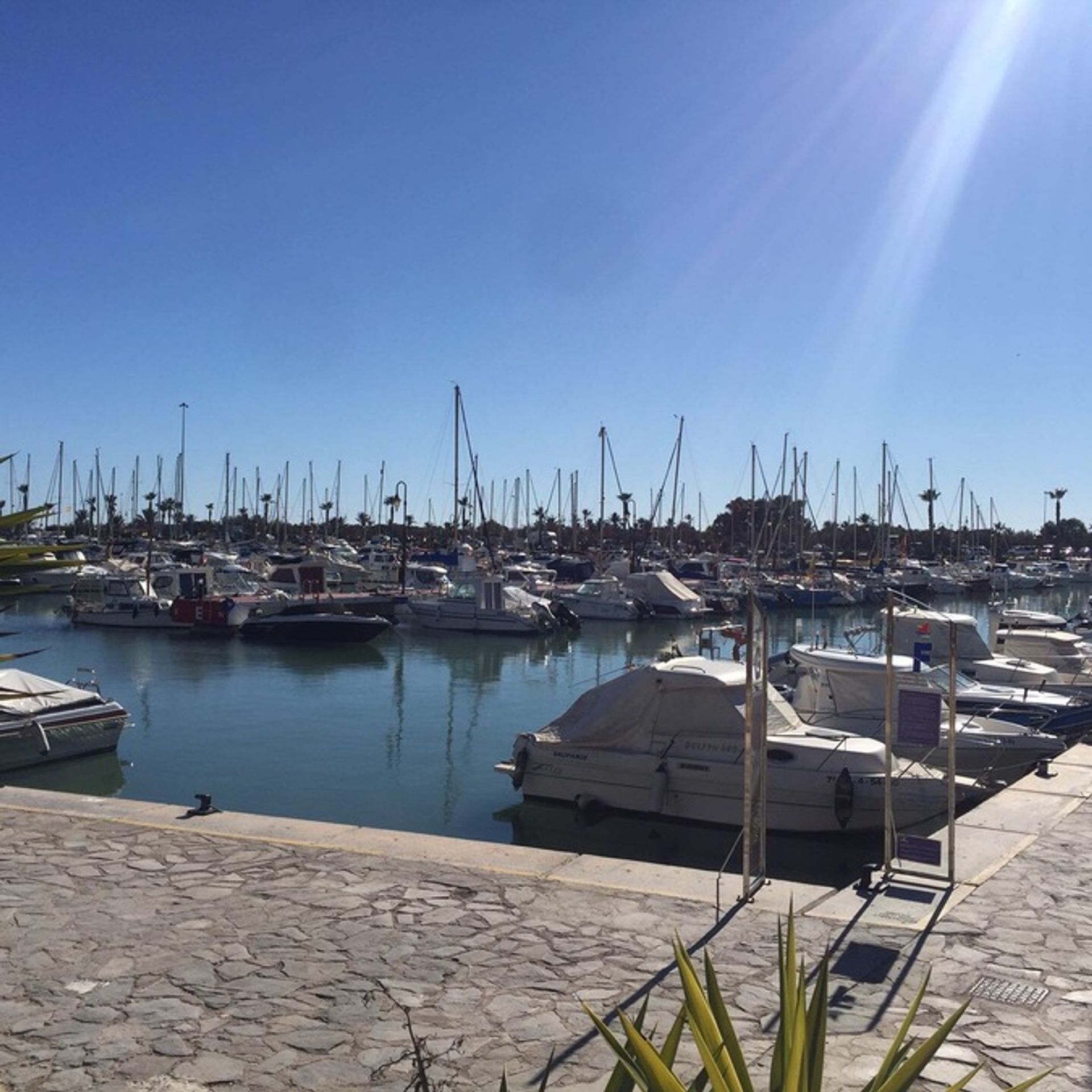 Borettslag i Guardamar del Segura, Comunidad Valenciana 10729729