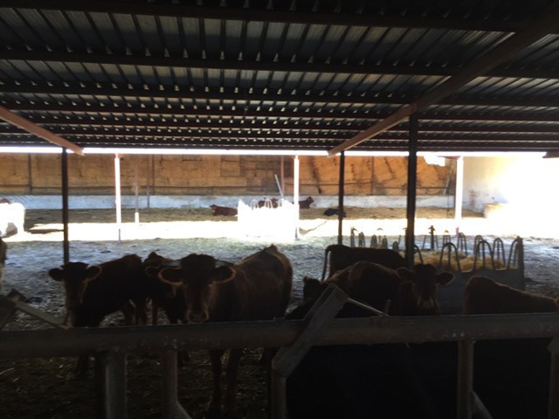 loger dans Ronda, Andalucía 10729817