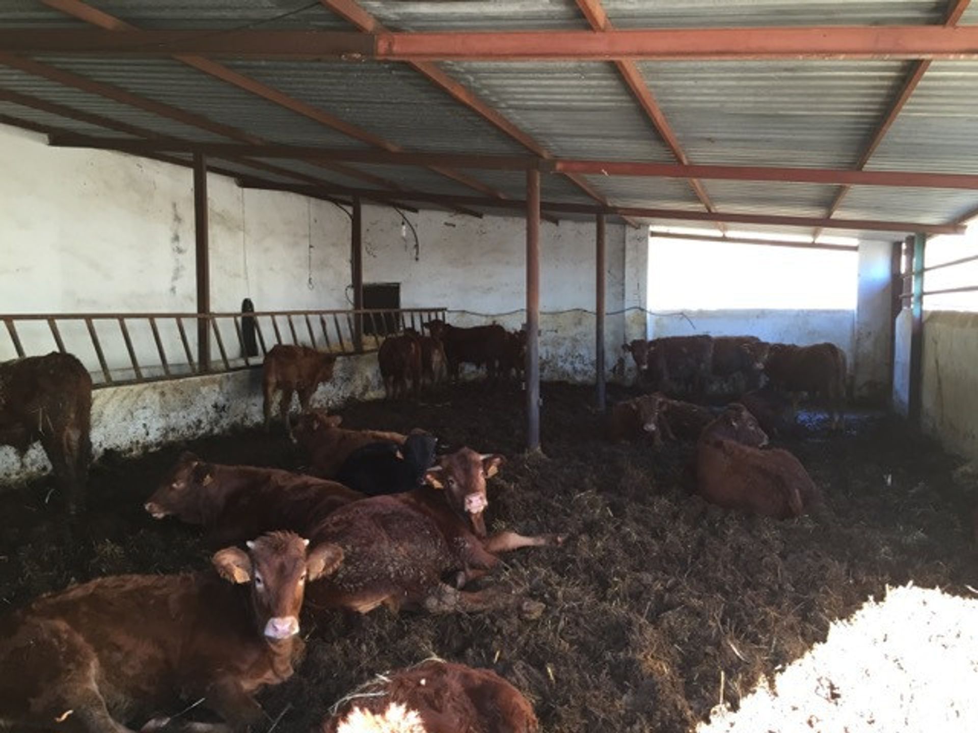 loger dans Ronda, Andalucía 10729817