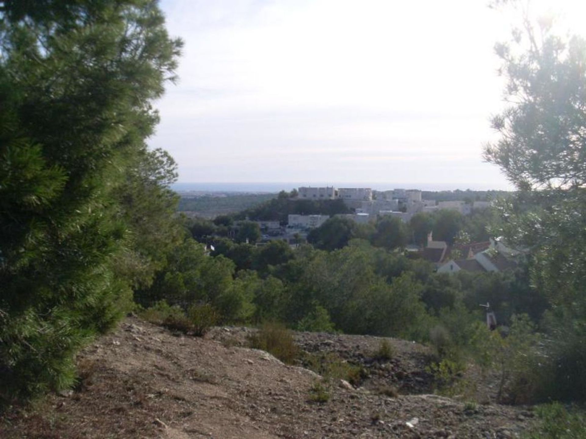 土地 在 San Miguel de Salinas, 巴倫西亞 10729958