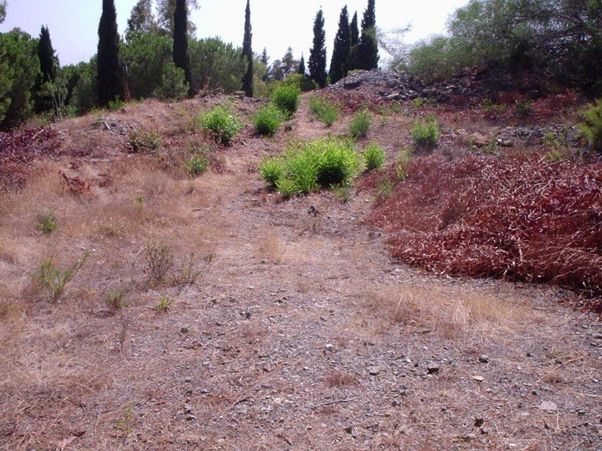 Tanah di Mijas, Andalusia 10730265