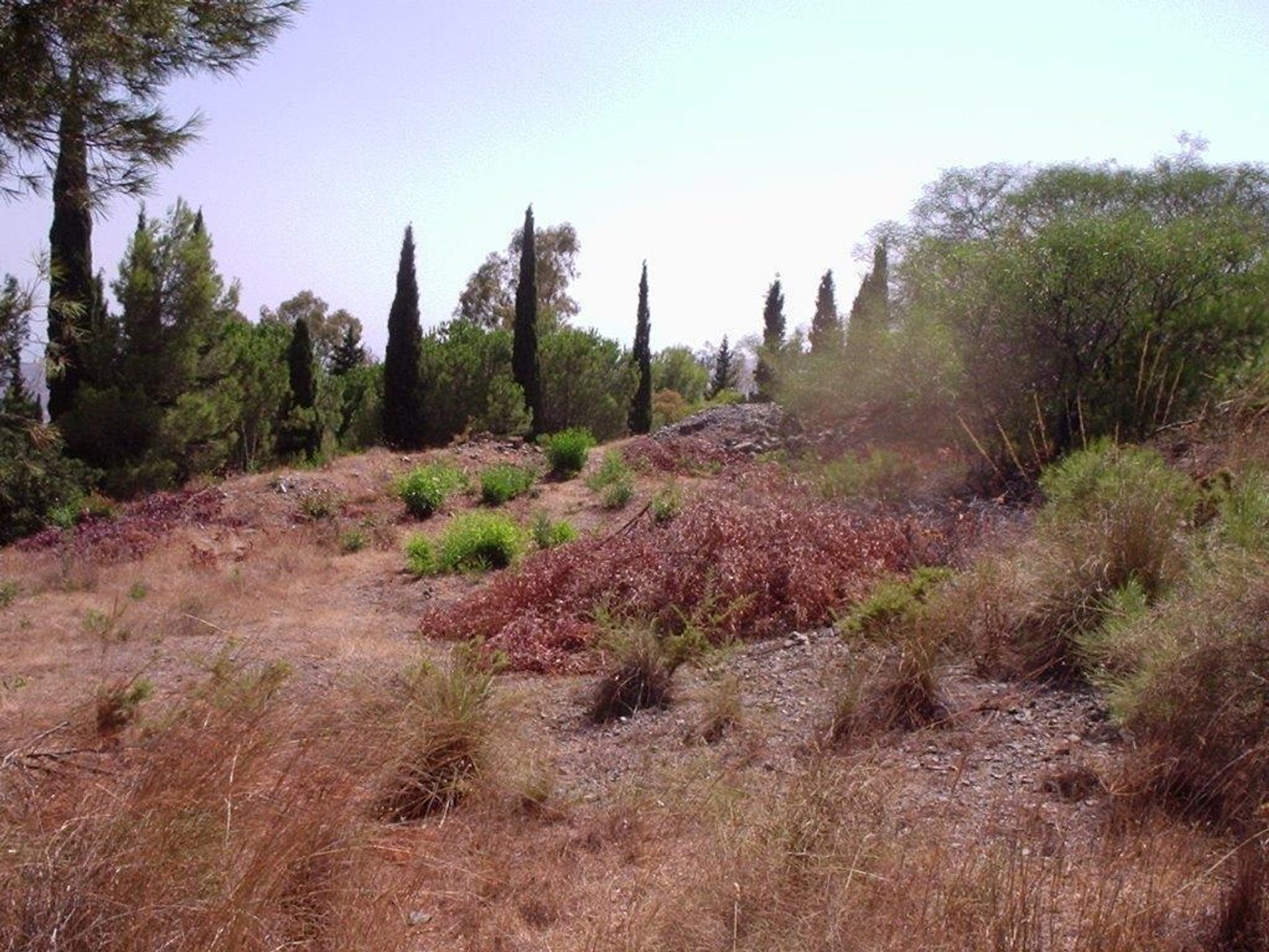 Tanah di Mijas, Andalusia 10730265